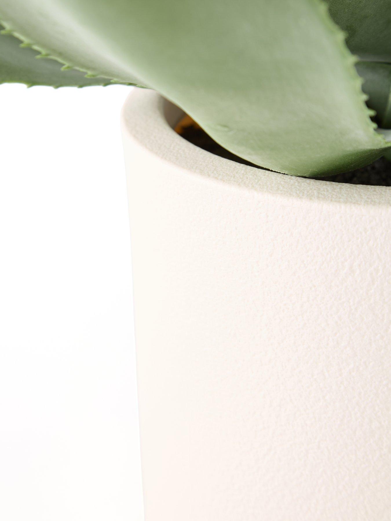 Image 6 of 6 of The Very Collection 57cm Agave in Plastic Pot