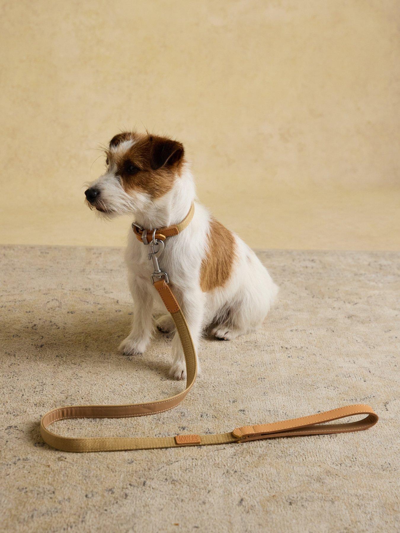 Joules Tan Lead