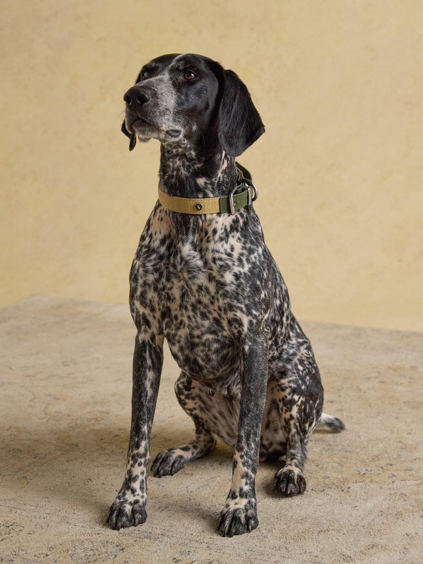 front image of joules-khaki-collar