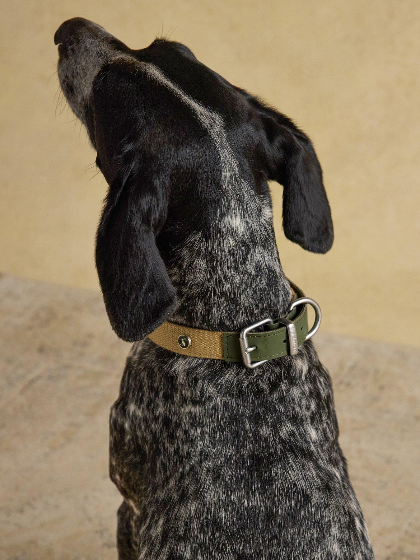 Image 6 of 6 of Joules Khaki Collar