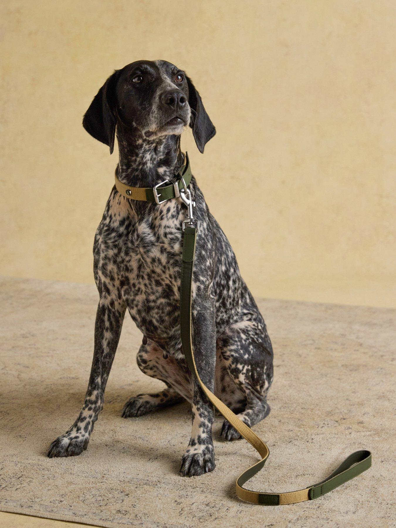 Joules Khaki Lead