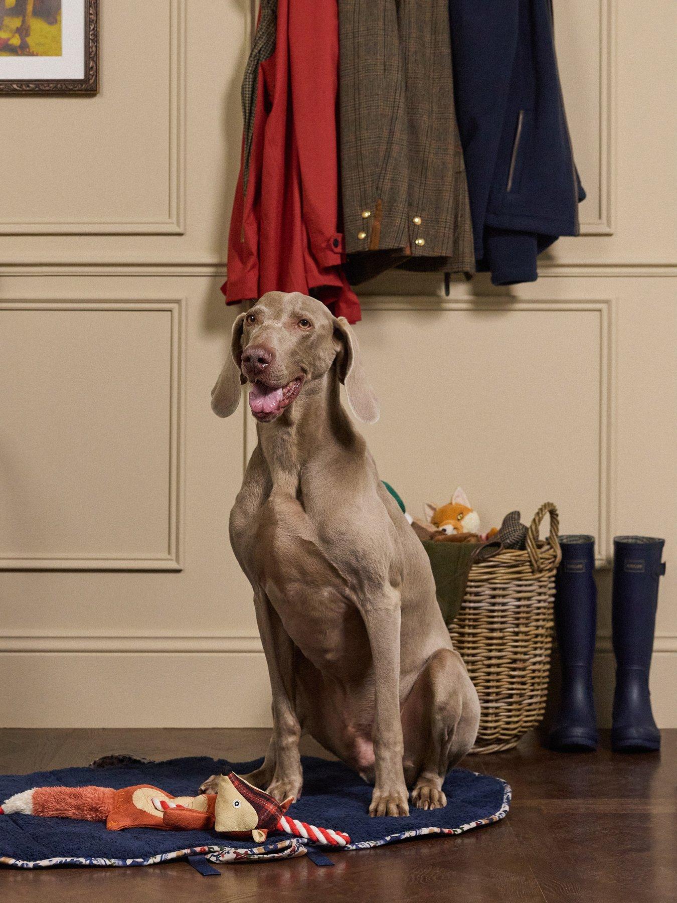  image of joules-rope-heritage-tweed-fox-toy