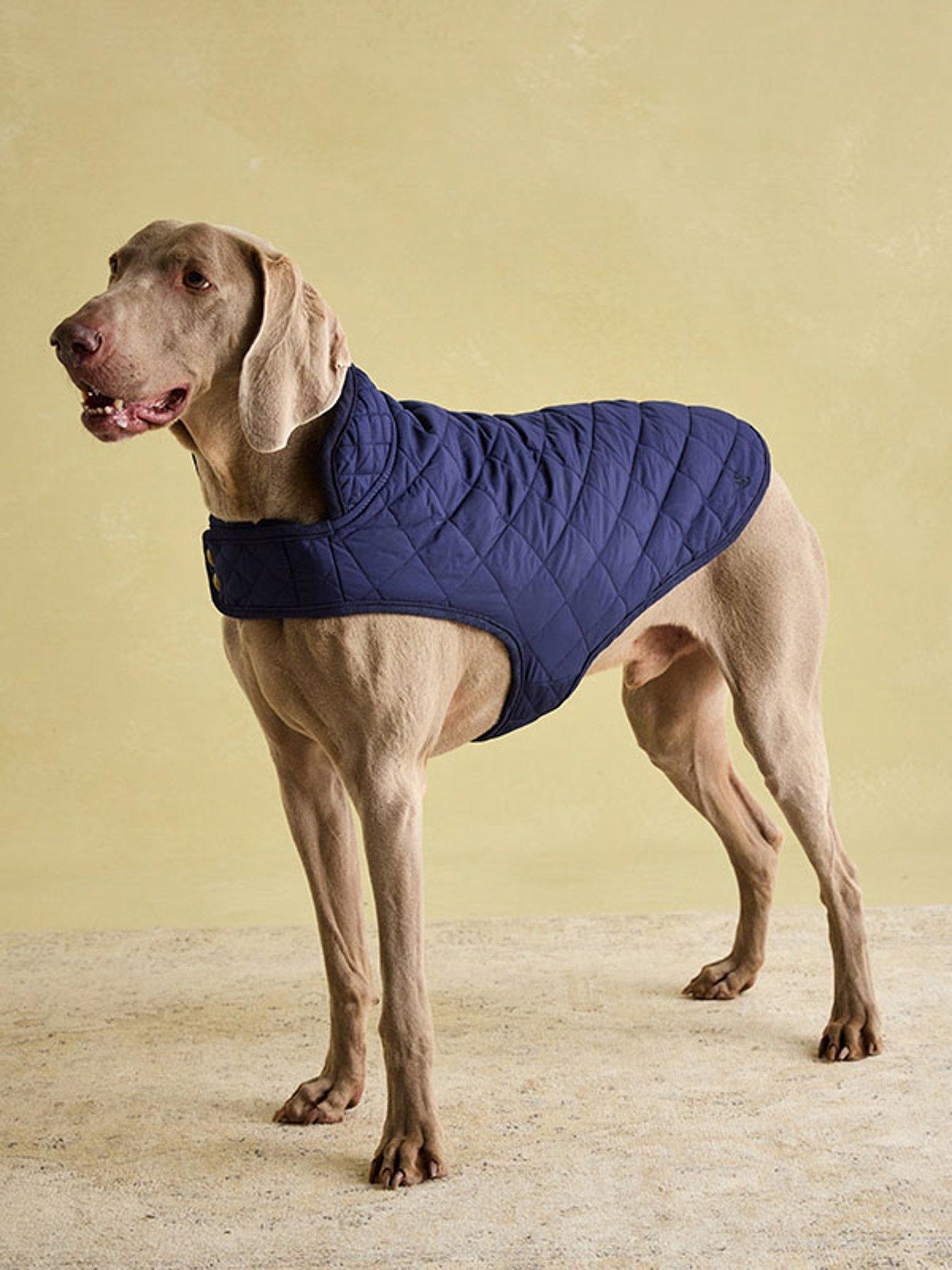 Joules NAVY QUILTED COAT SML