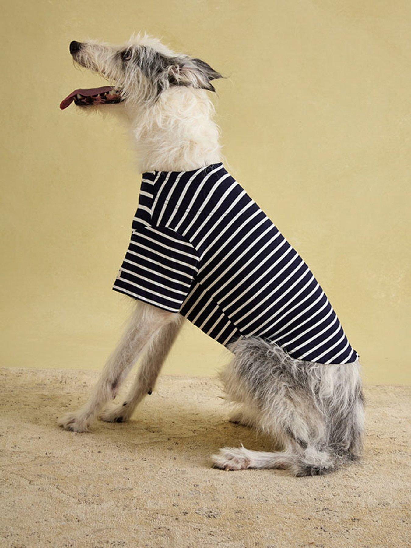  image of joules-harbour-top