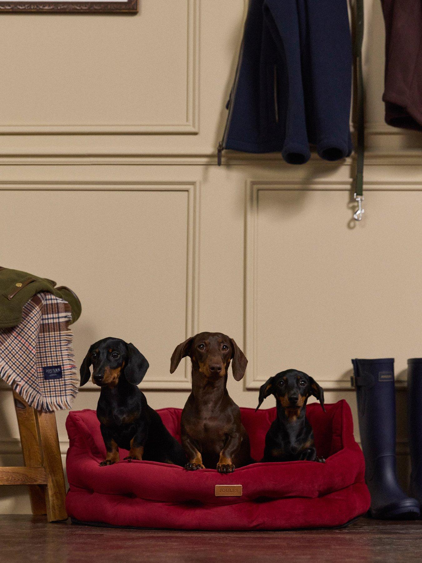 Image 1 of 6 of Joules Chesterfield Pet Bed -&nbsp;Burgundy