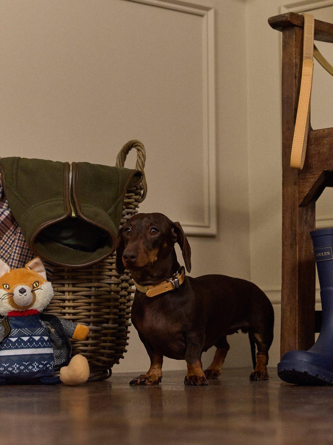 Image 1 of 6 of Joules Tan Collar