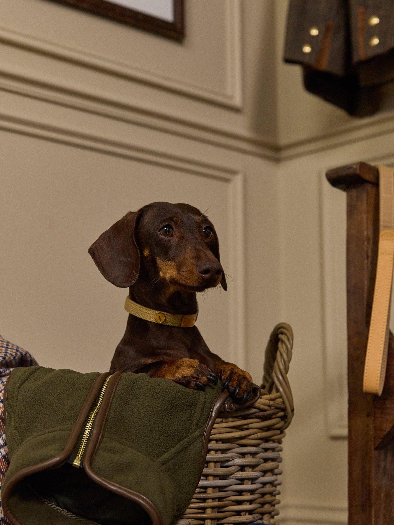 Image 6 of 6 of Joules Tan Collar