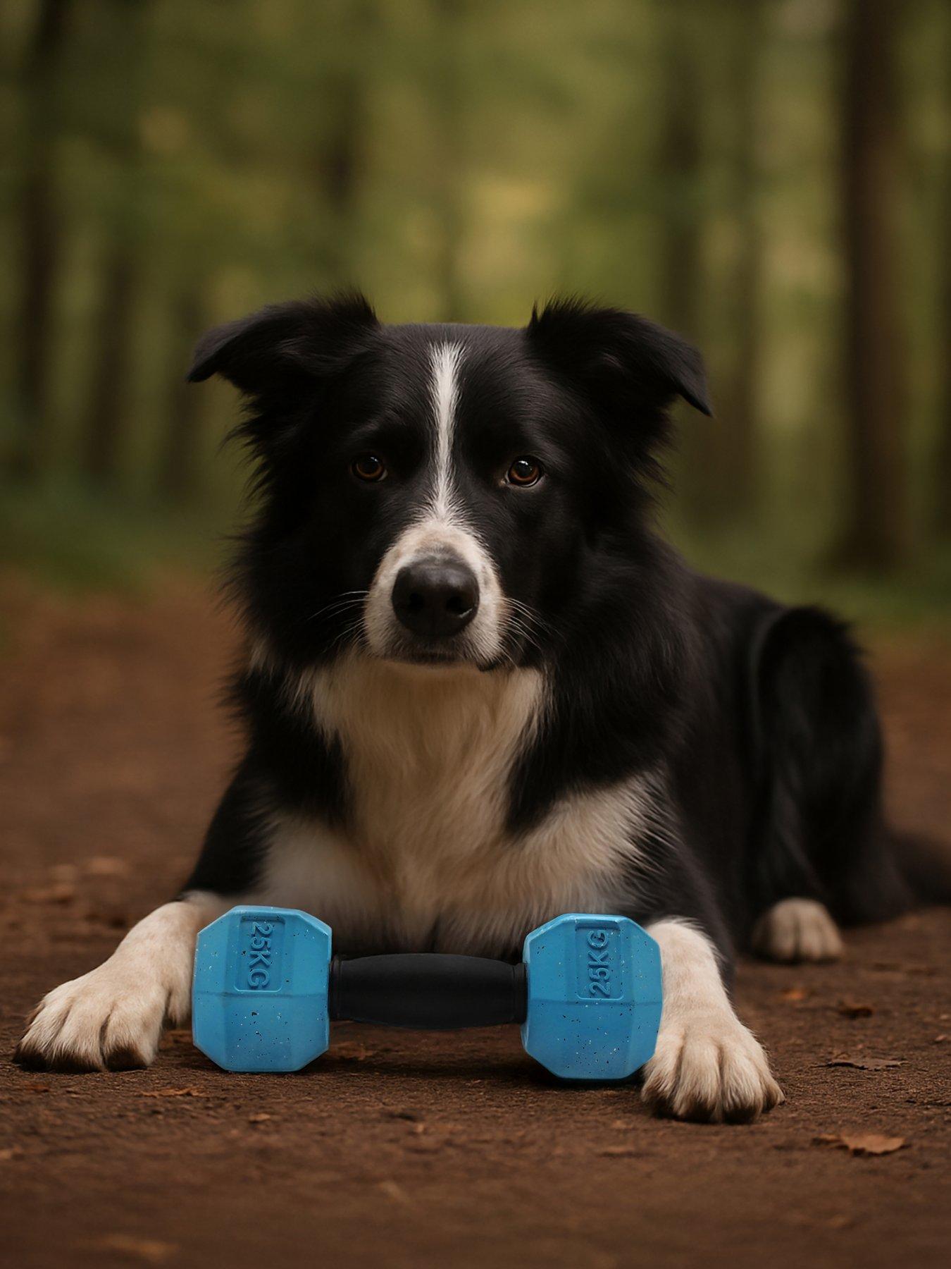 image of nike-max-fusion-max-fusion-dumbbell-dog-toy-for-large-dogs