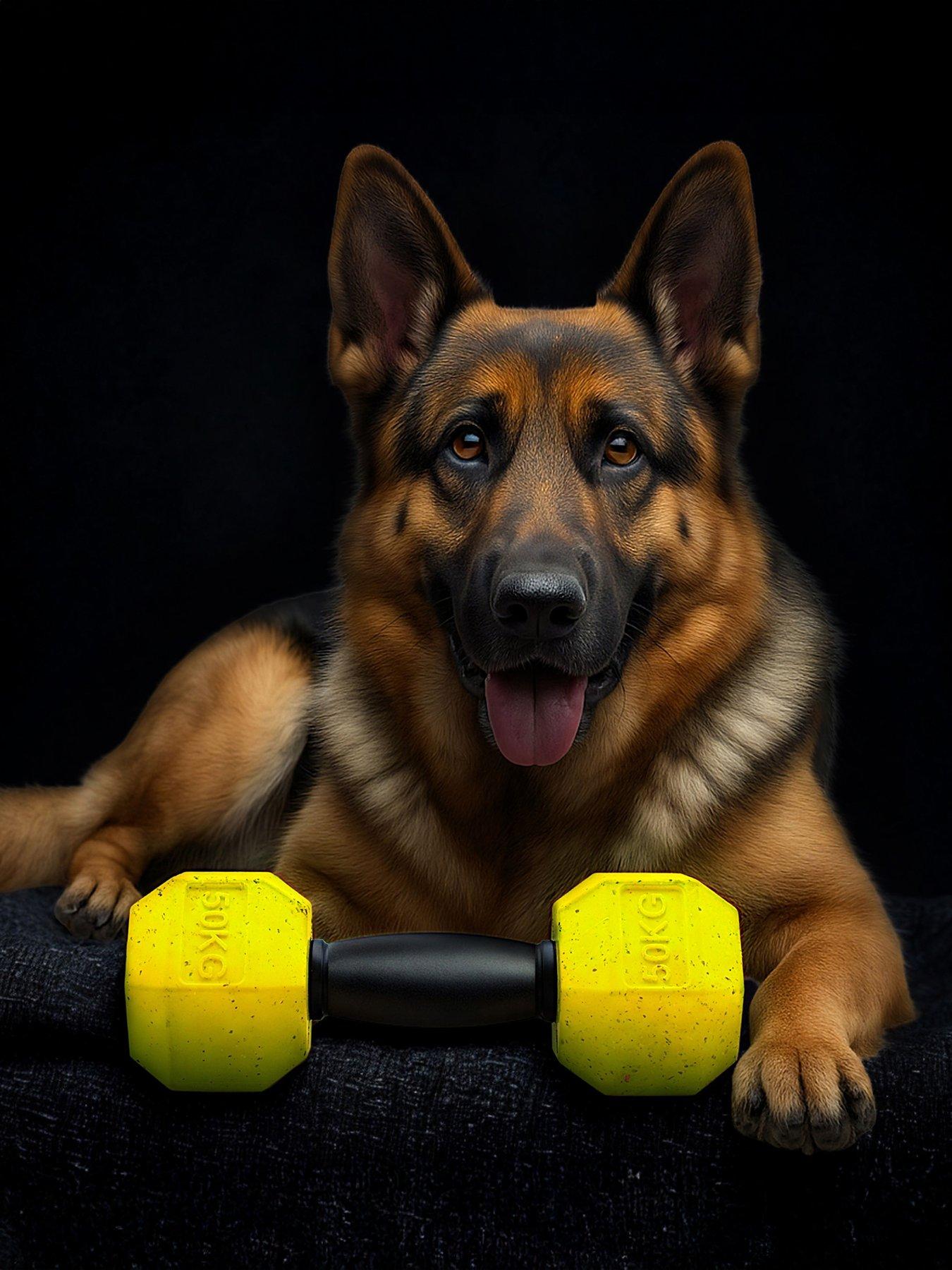 Nike Max Fusion Dumbbell Dog Toy for Extra Large Dogs
