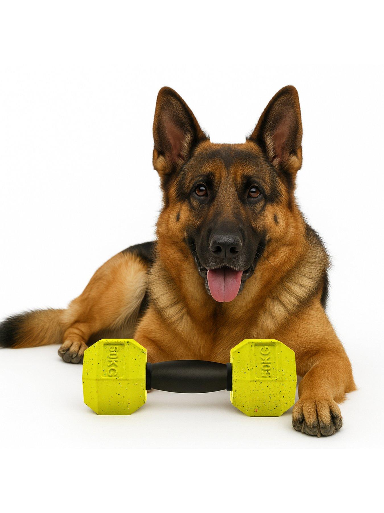  image of nike-max-fusion-max-fusion-dumbbell-dog-toy-for-extra-large-dogs