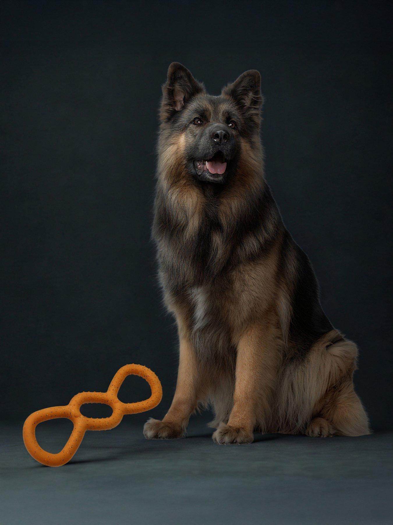 Nike Max Fusion Tug Dog Toy For Extra Large Dogs