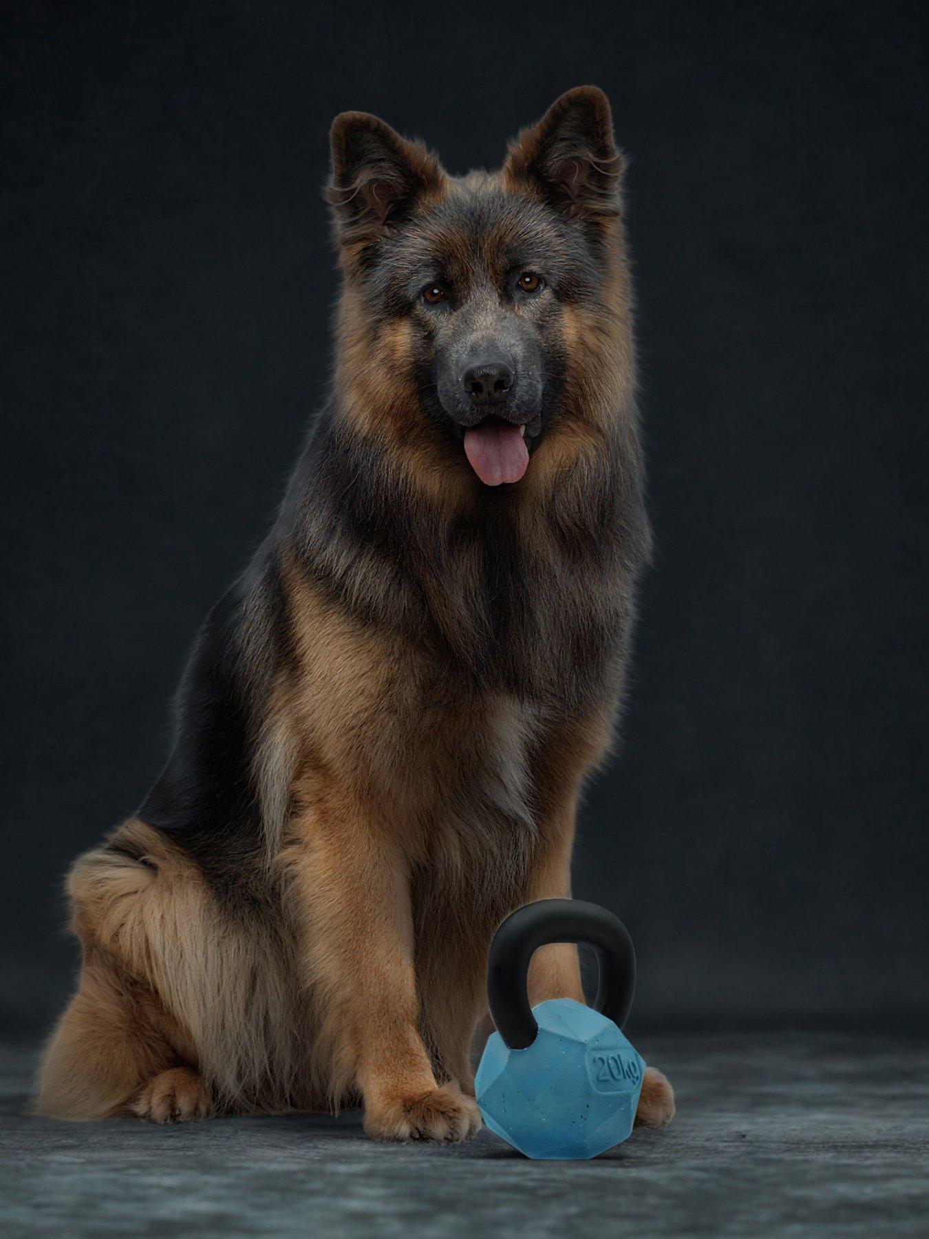  image of nike-max-fusion-max-fusion-kettle-bell-dog-toy-for-large-dogs