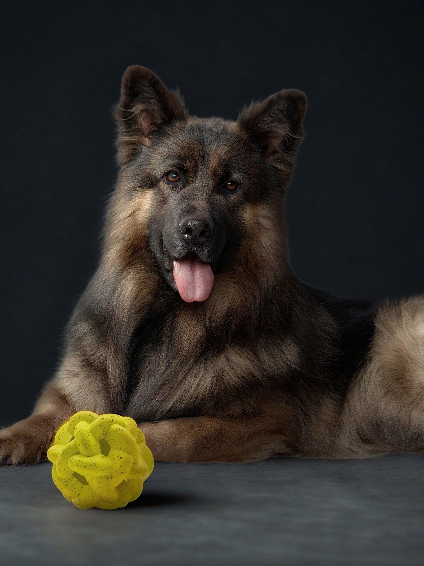 front image of nike-max-fusion-max-fusion-gyro-dog-toy-for-large-dogs