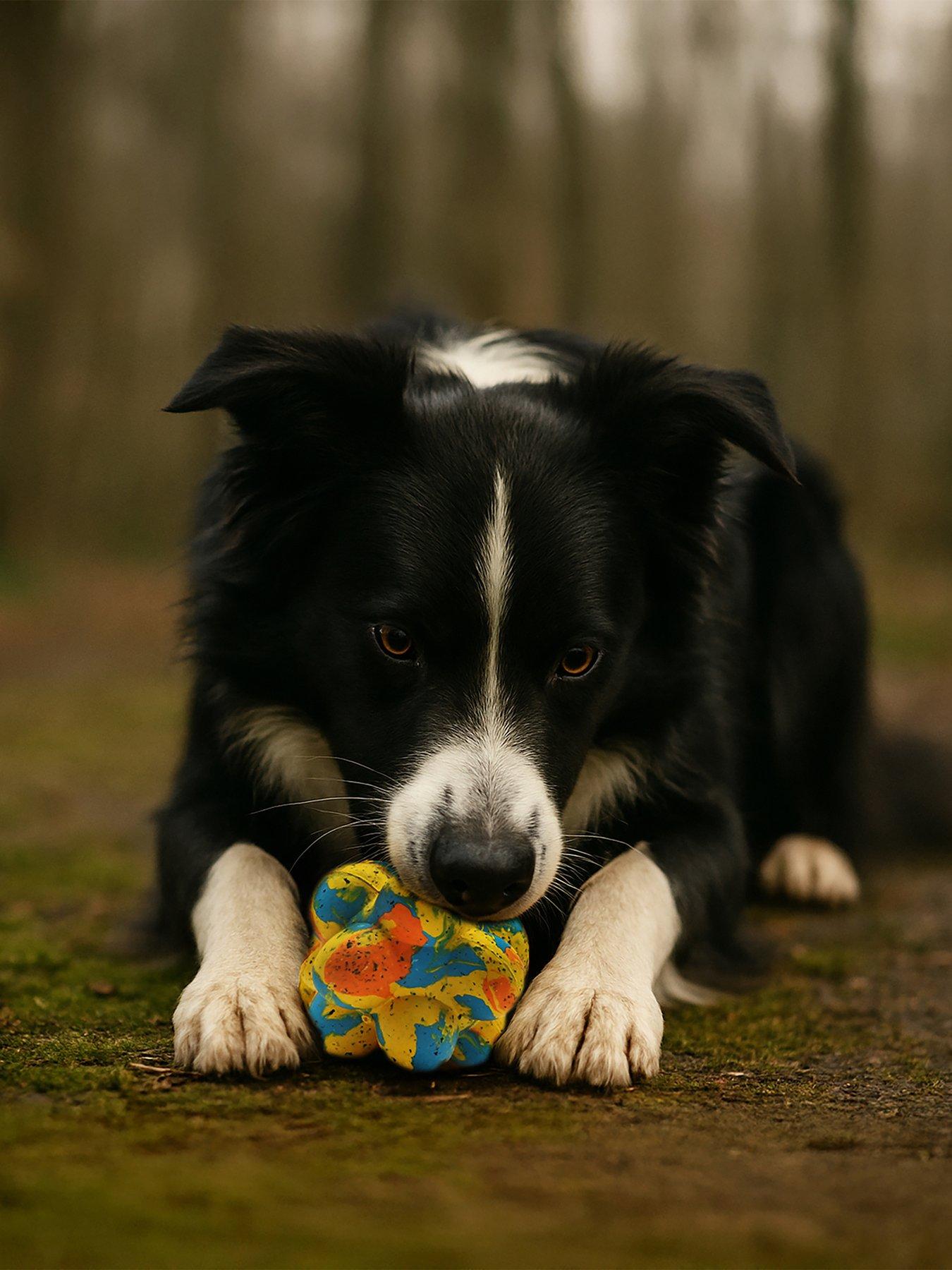 Image 1 of 6 of Nike Max Fusion Max Fusion Pop It Dog Toy For Medium Dogs