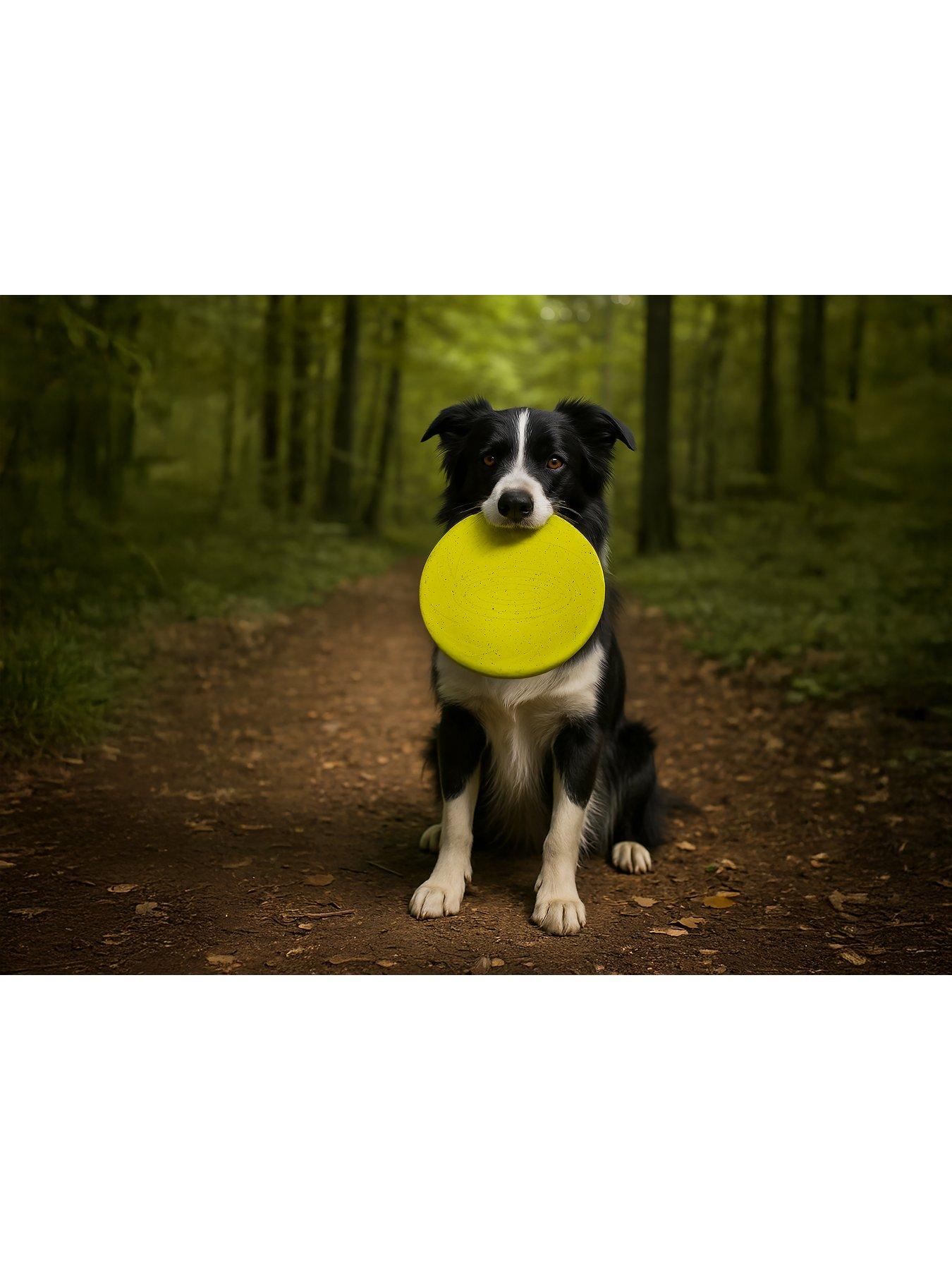  image of nike-max-fusion-max-fusion-frisbee-dog-toy-for-large-dogs