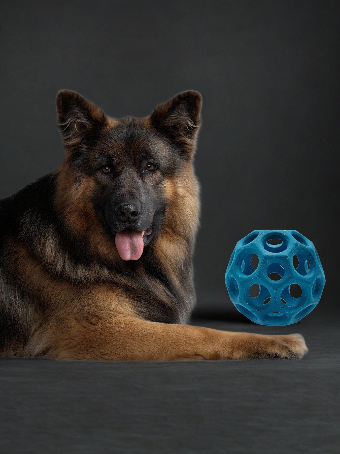 Nike Max Fusion Helix Dog Toy For Large Dogs