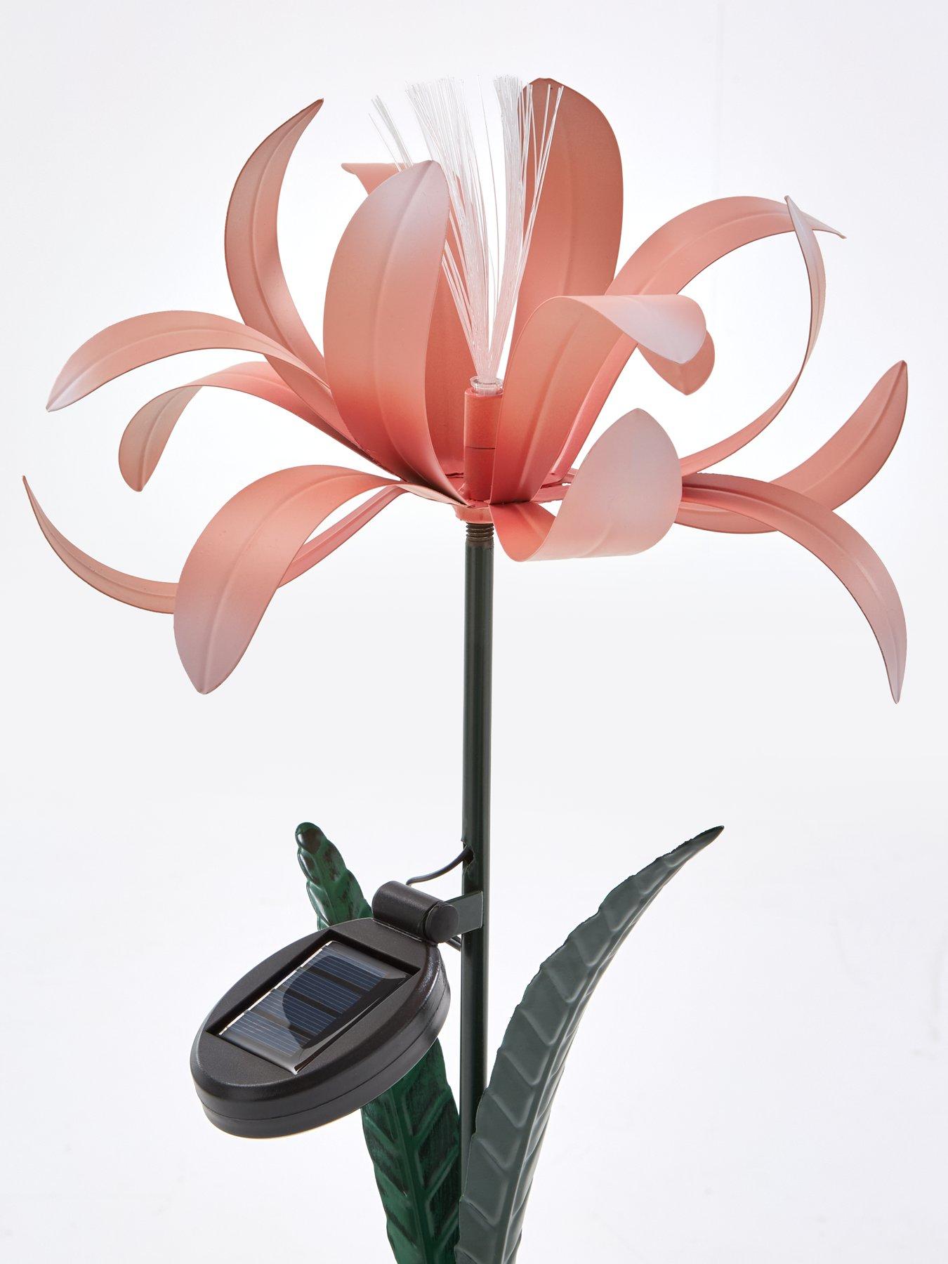  image of heaven-sends-solar-pink-iris-stake