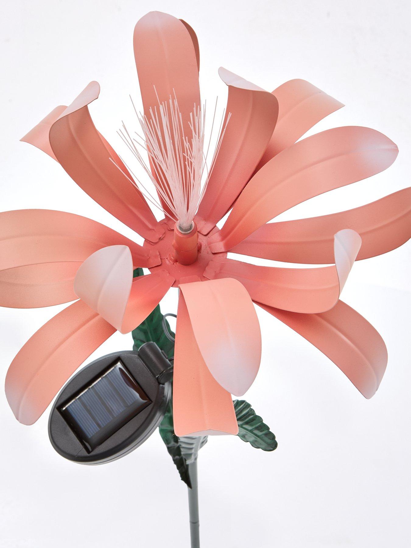  image of heaven-sends-solar-pink-iris-stake