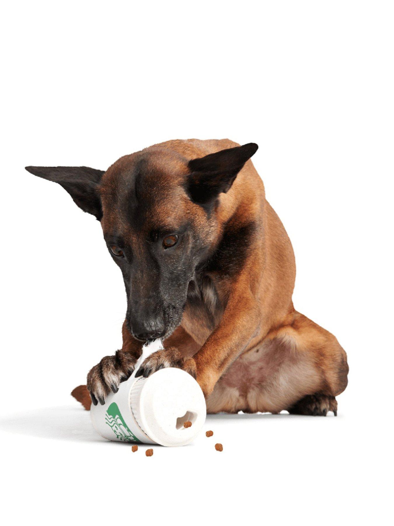  image of bark-pupkin-spice-yappucino-dog-toy