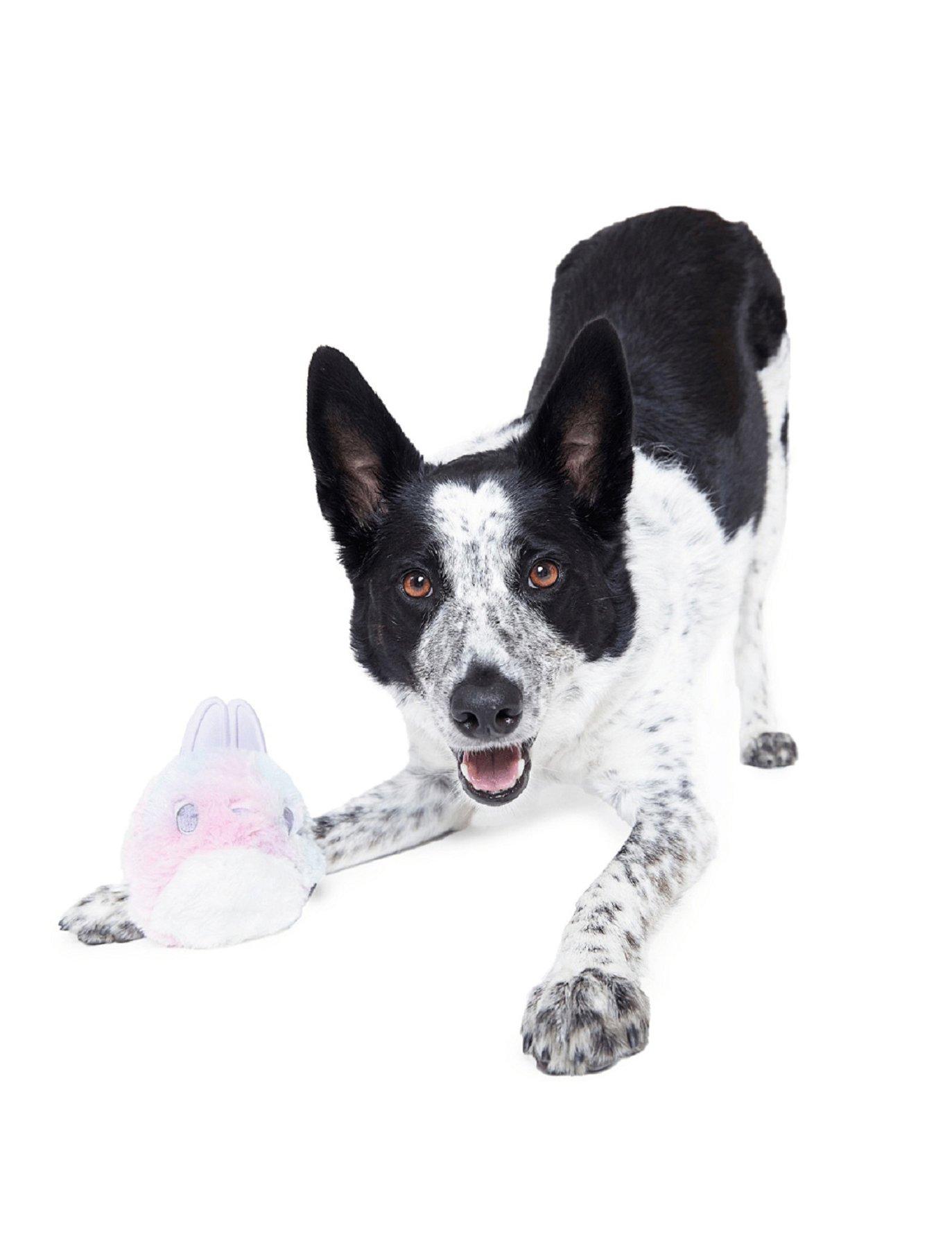 Bark Hippie Hopper Dog Toy