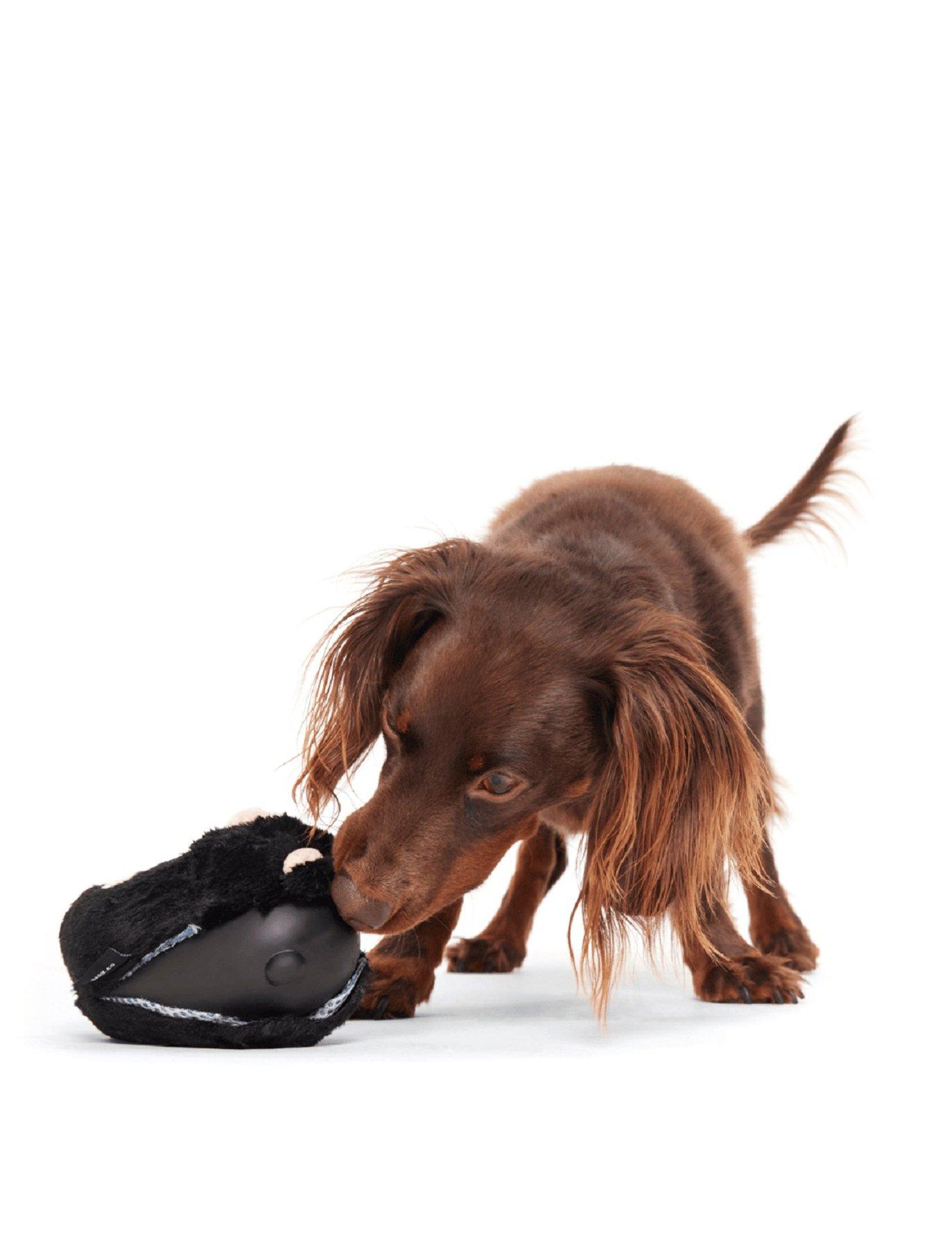  image of bark-black-bear-bones-dog-toy