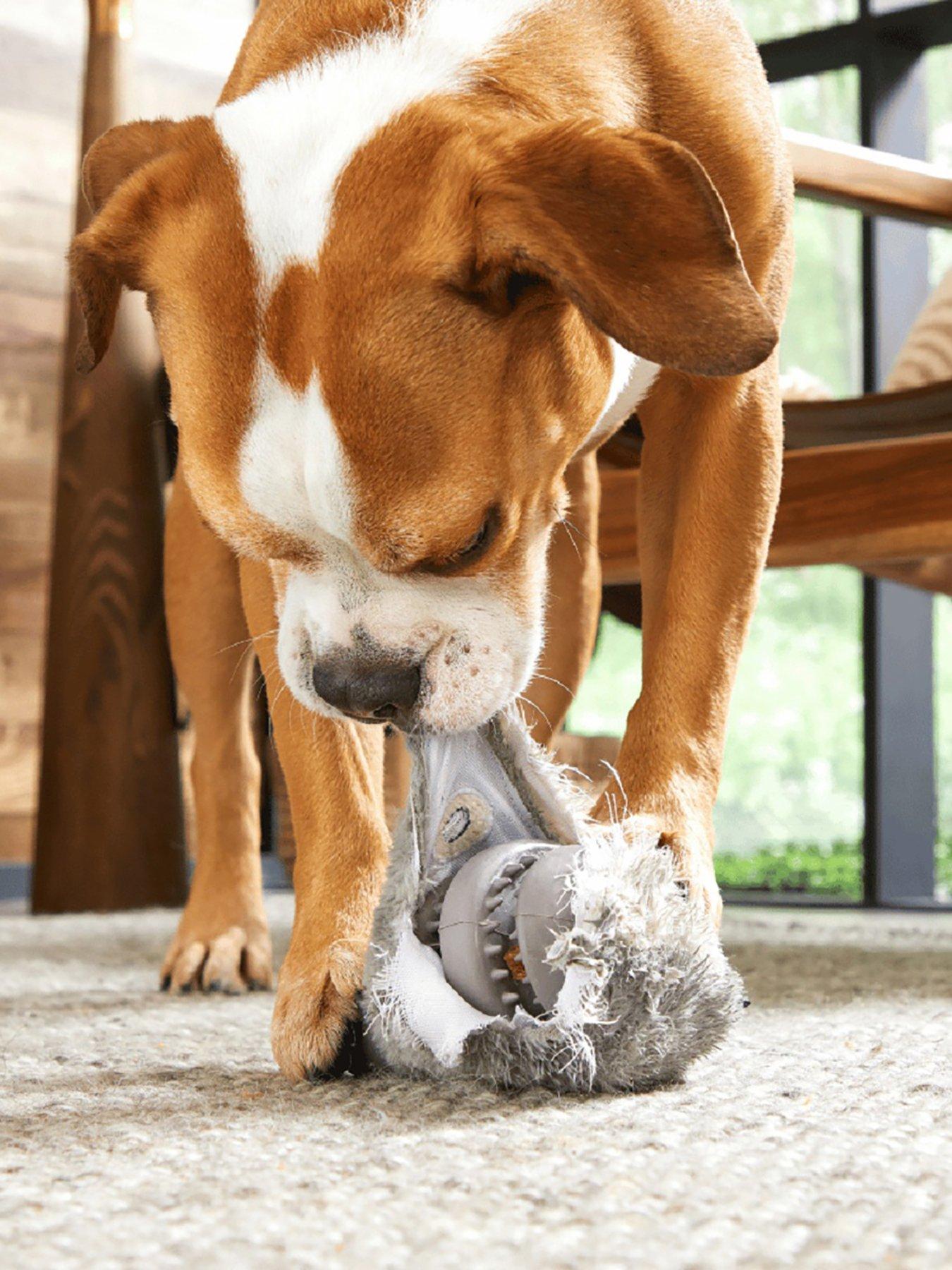 back image of bark-hare-raiser-dog-toy