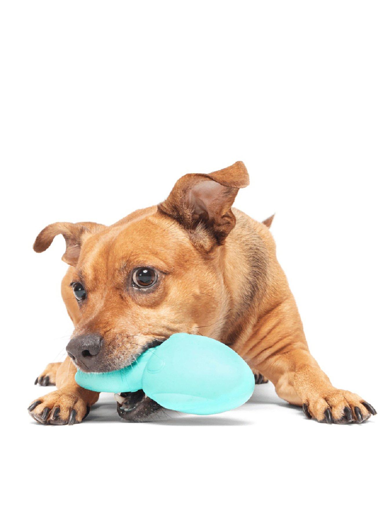 Bark Whiz Squid Dog Toy