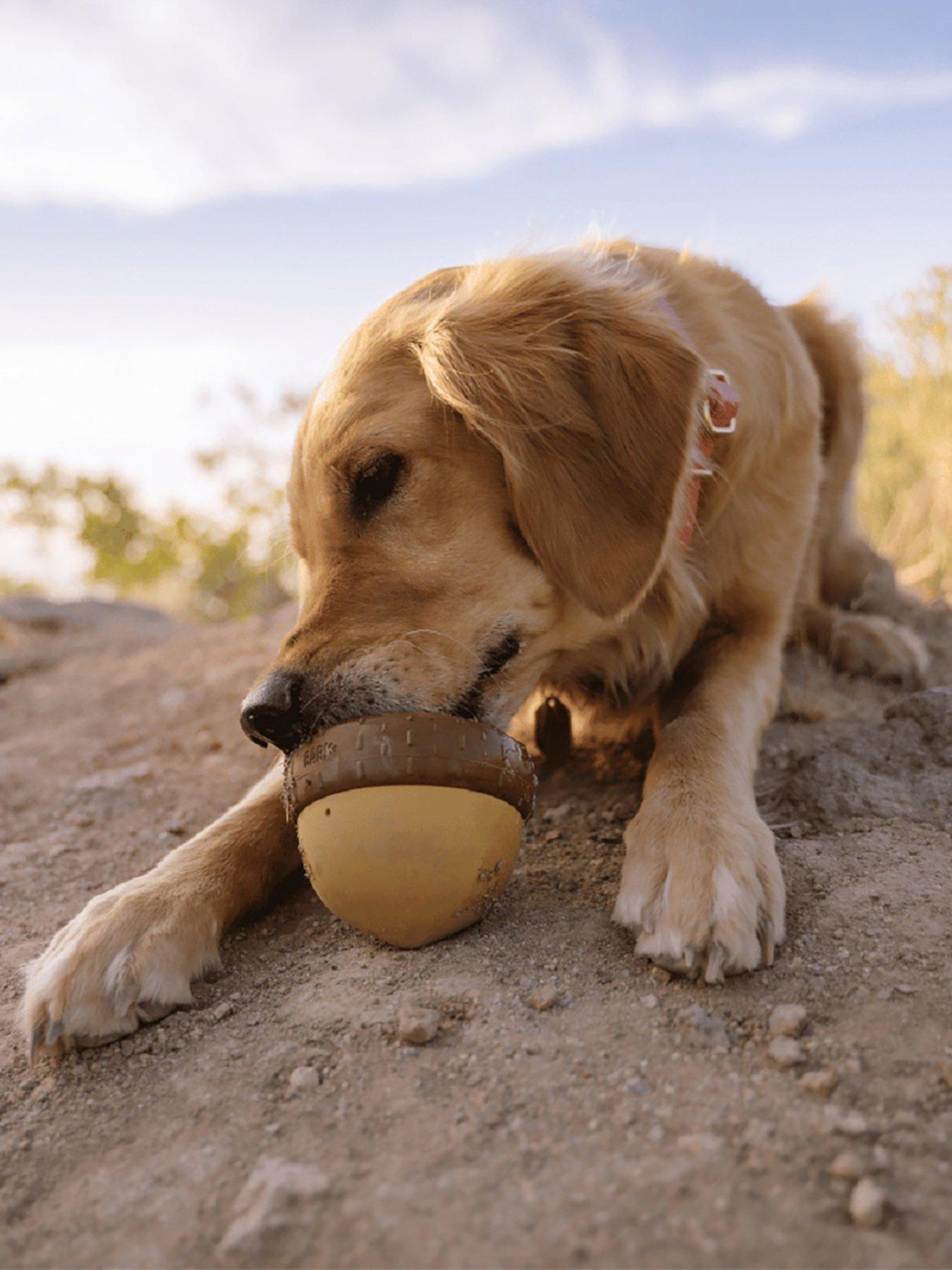  image of bark-acornucopia-dog-toy