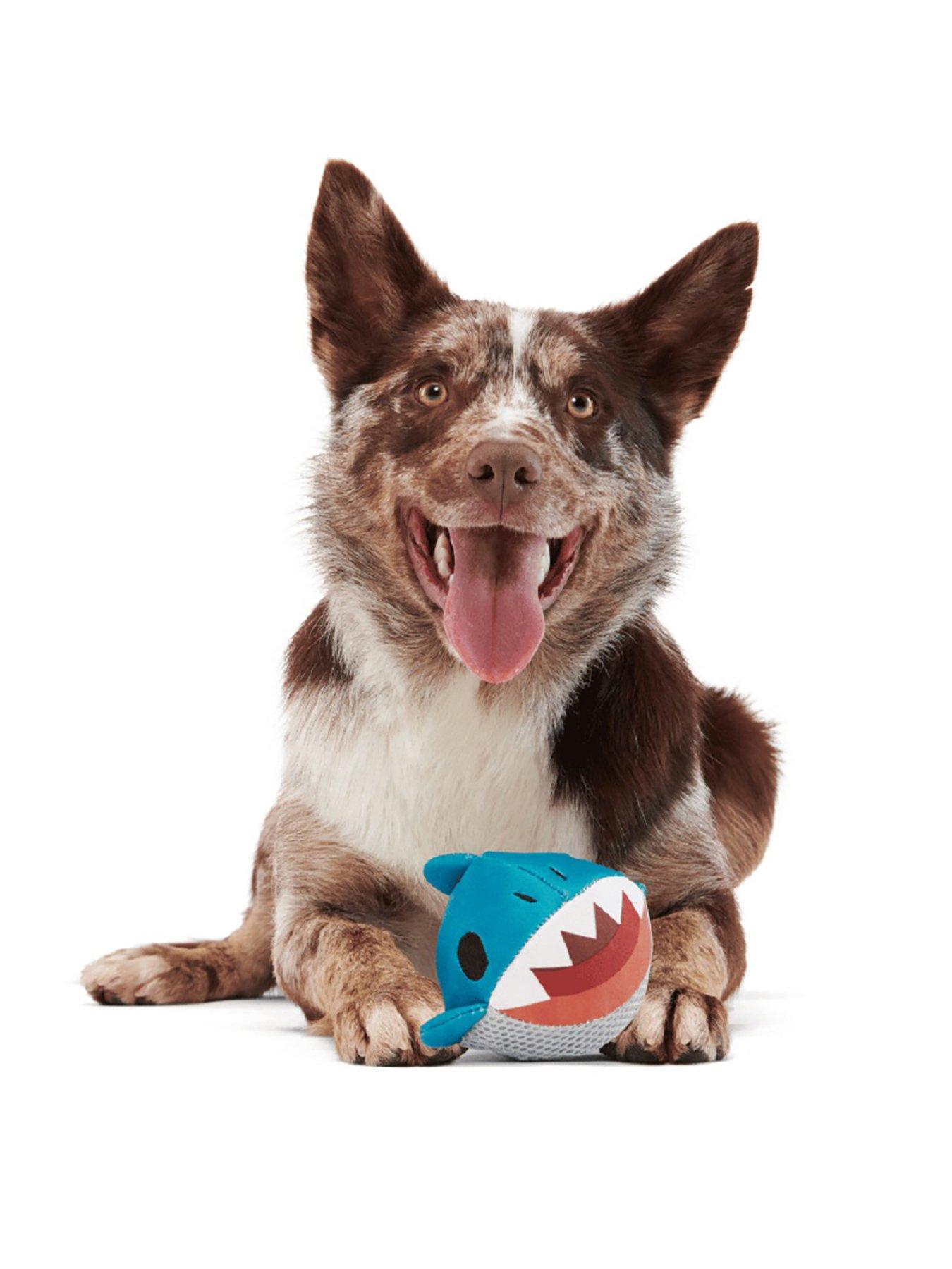 Image 1 of 4 of Bark Great White Dwight Dog Toy