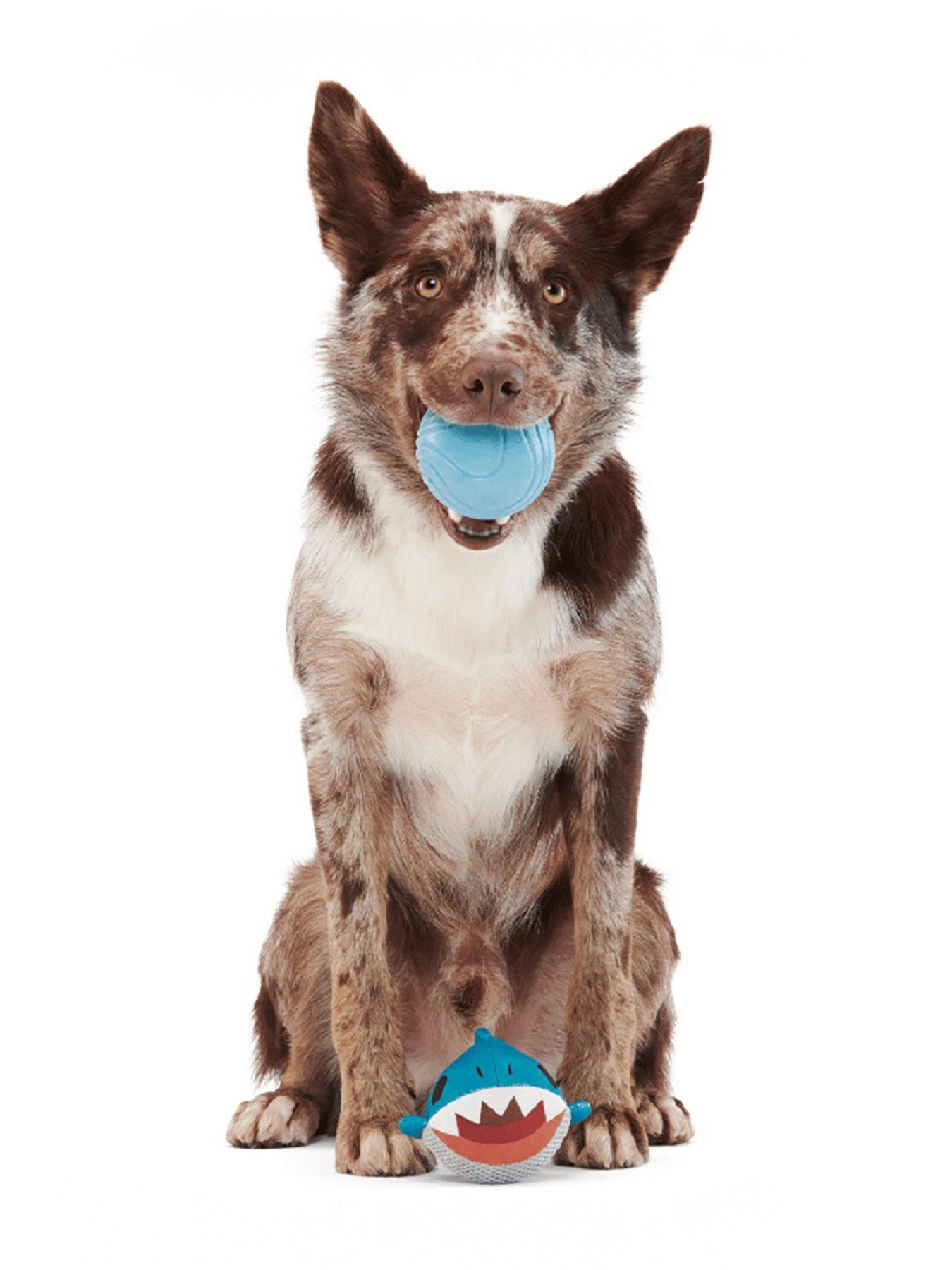 Image 3 of 4 of Bark Great White Dwight Dog Toy
