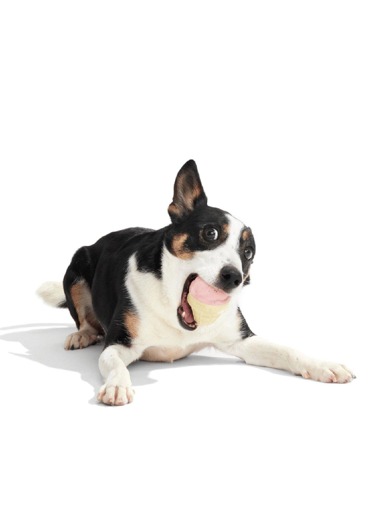  image of bark-squeak-cone-dog-toy