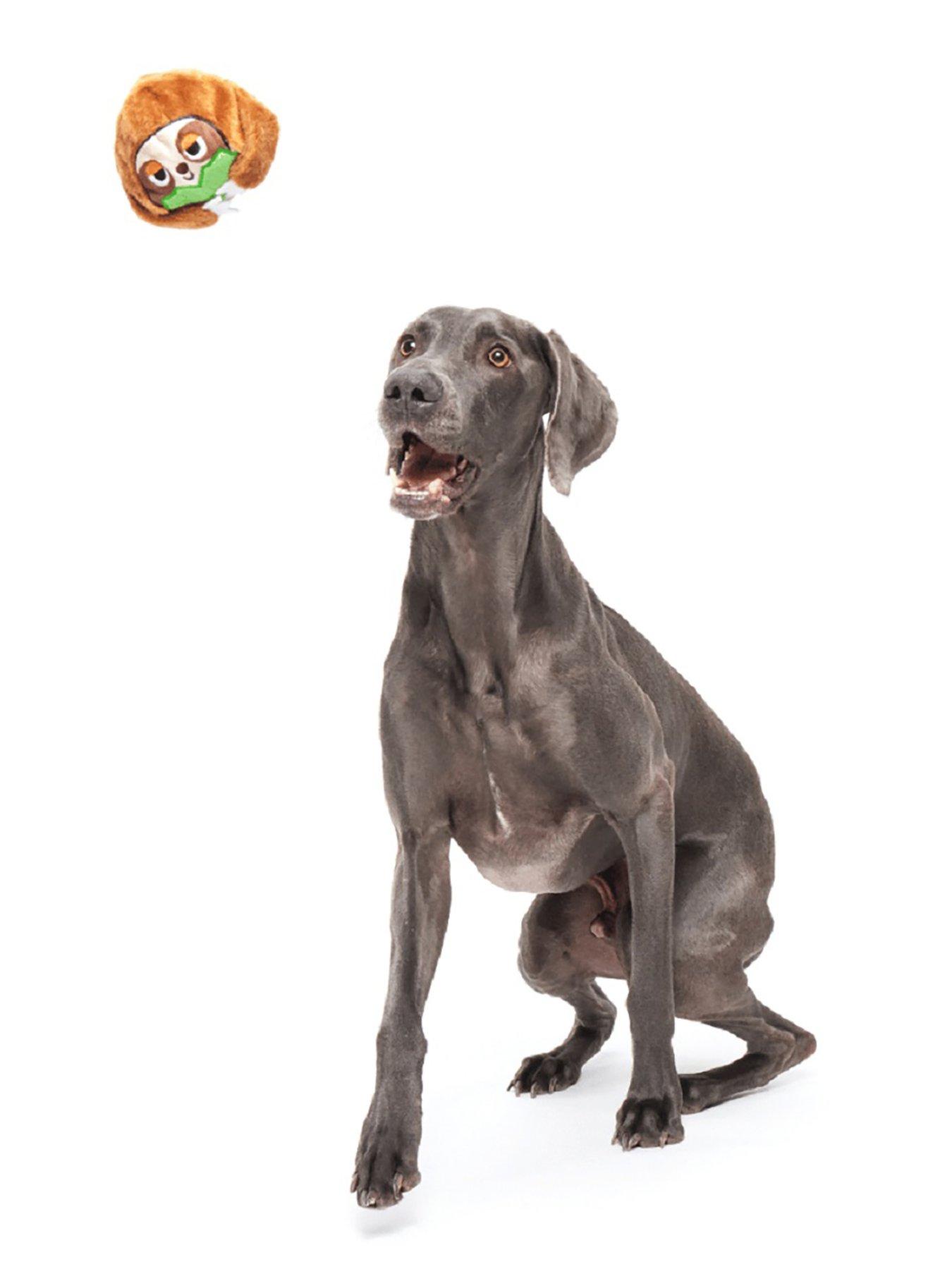  image of bark-sonny-the-sloth-dog-toy