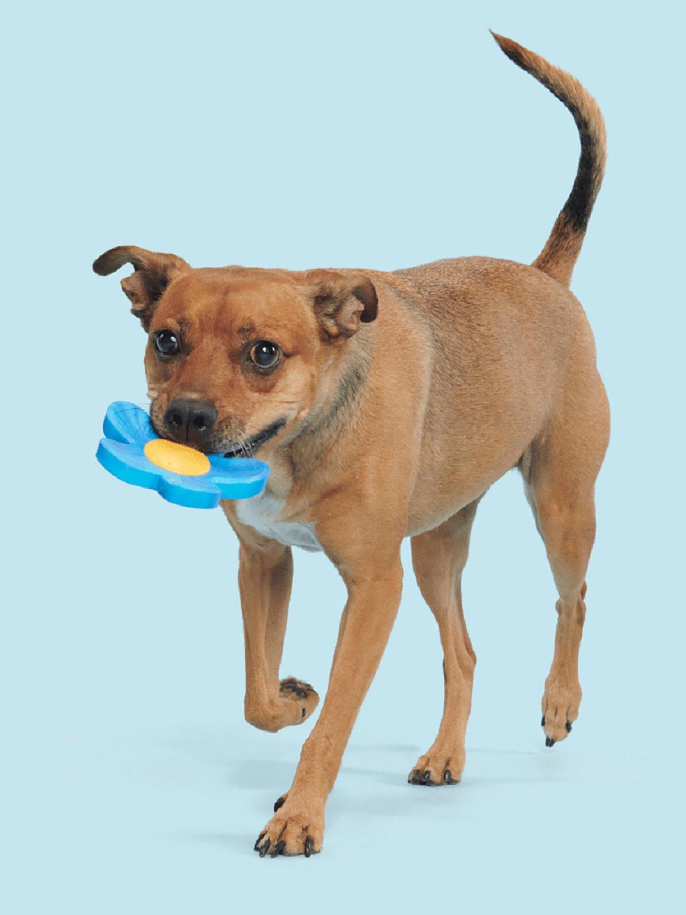 Bark Blue Power Flower Dog Toy
