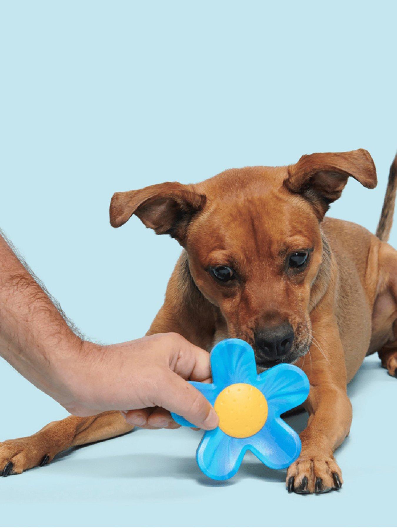  image of bark-blue-power-flower-dog-toy