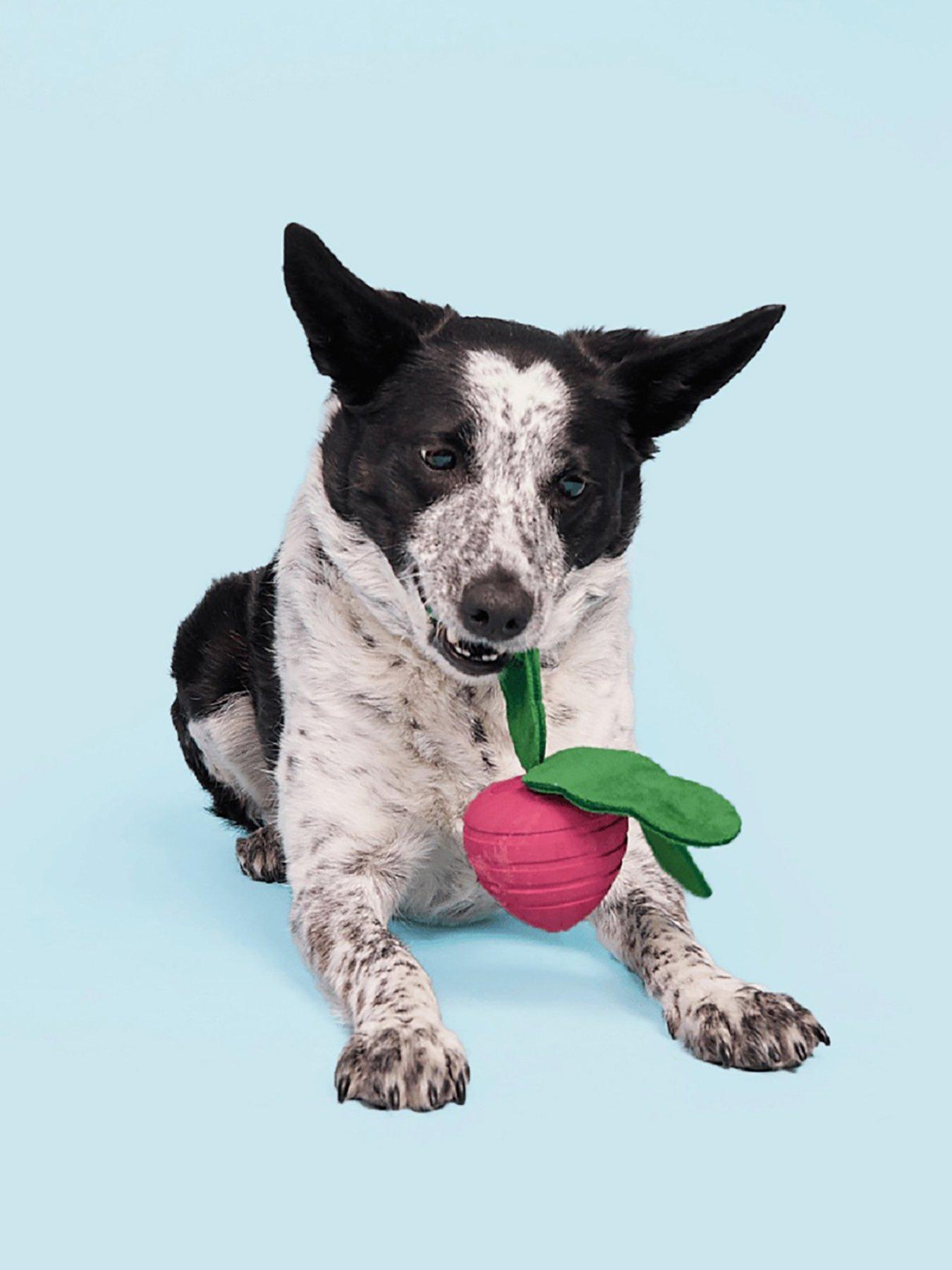 Bark Turnt Up Turnip Dog Toy