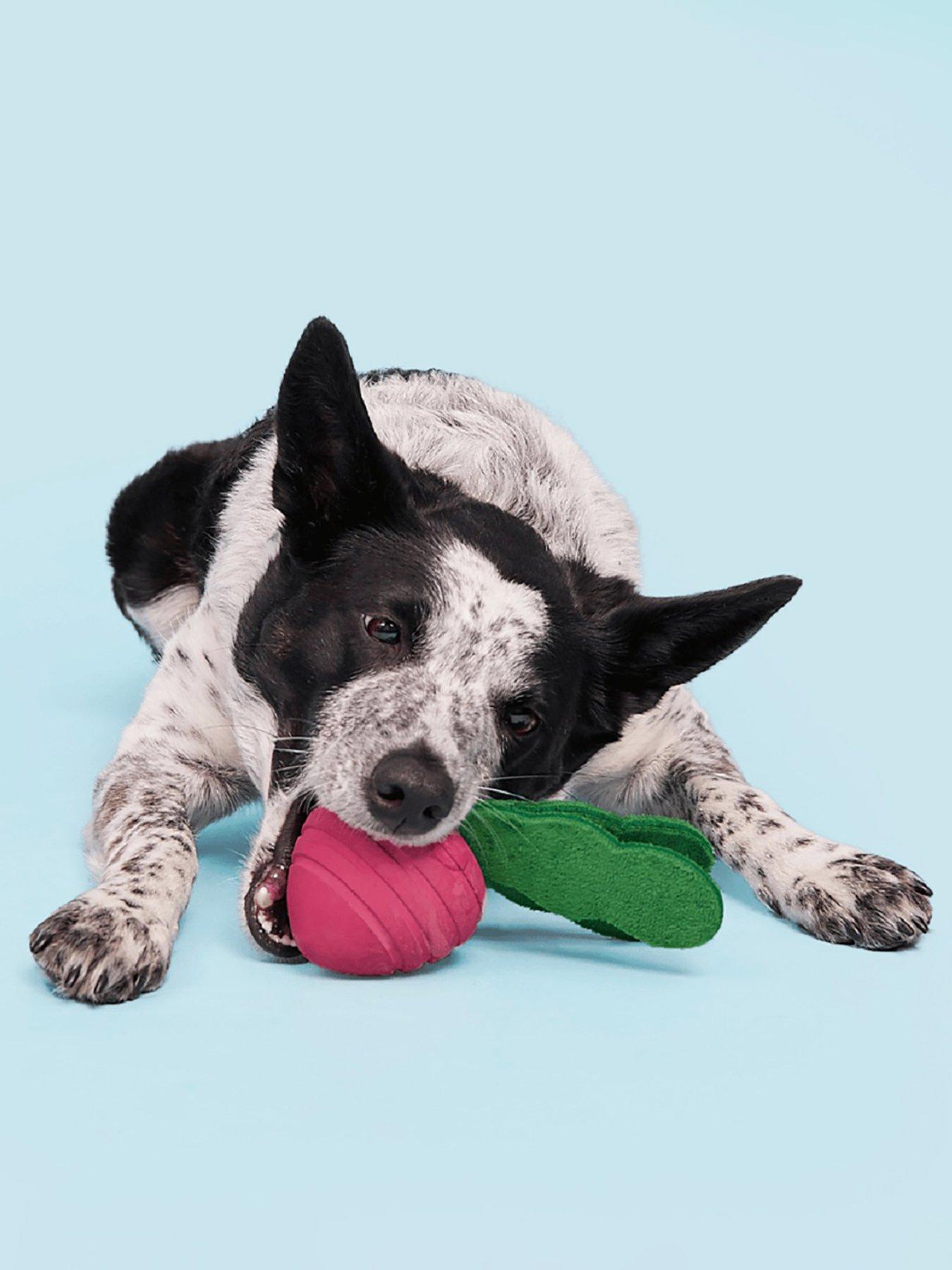  image of bark-turnt-up-turnip-dog-toy