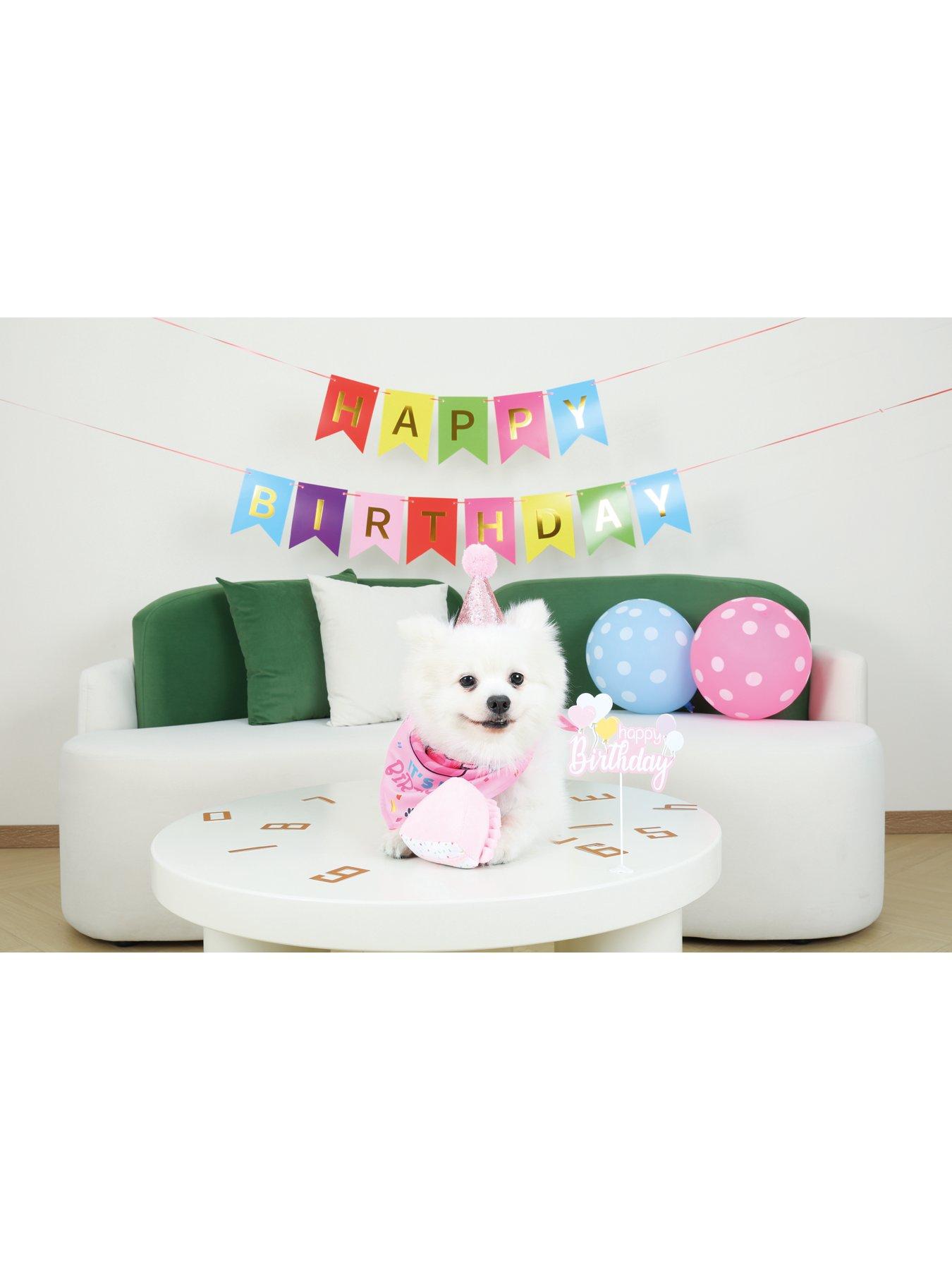 M-Pets PARTY TIME Dog Lady's set