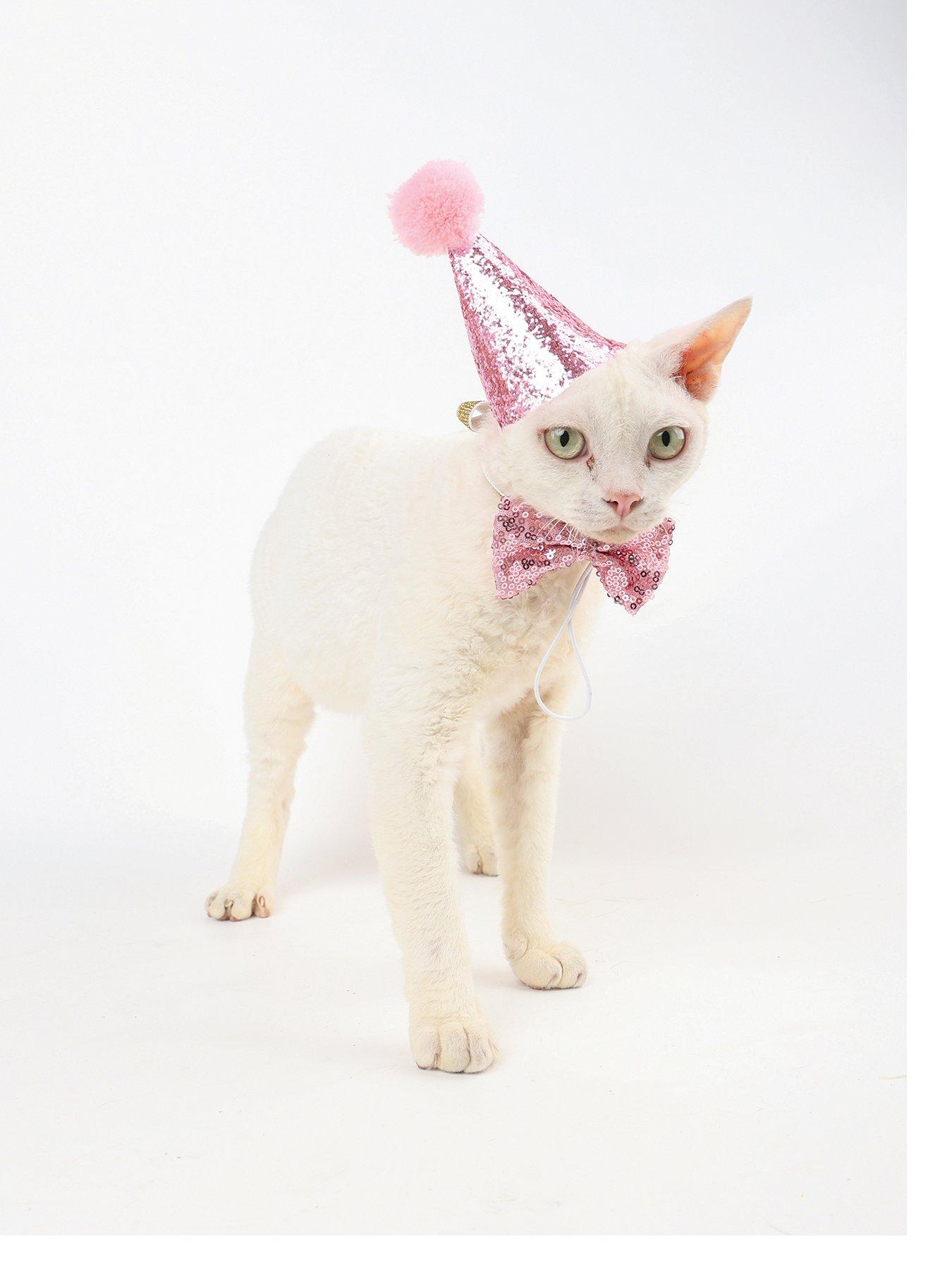 stillFront image of m-pets-party-time-cat-ladys-set