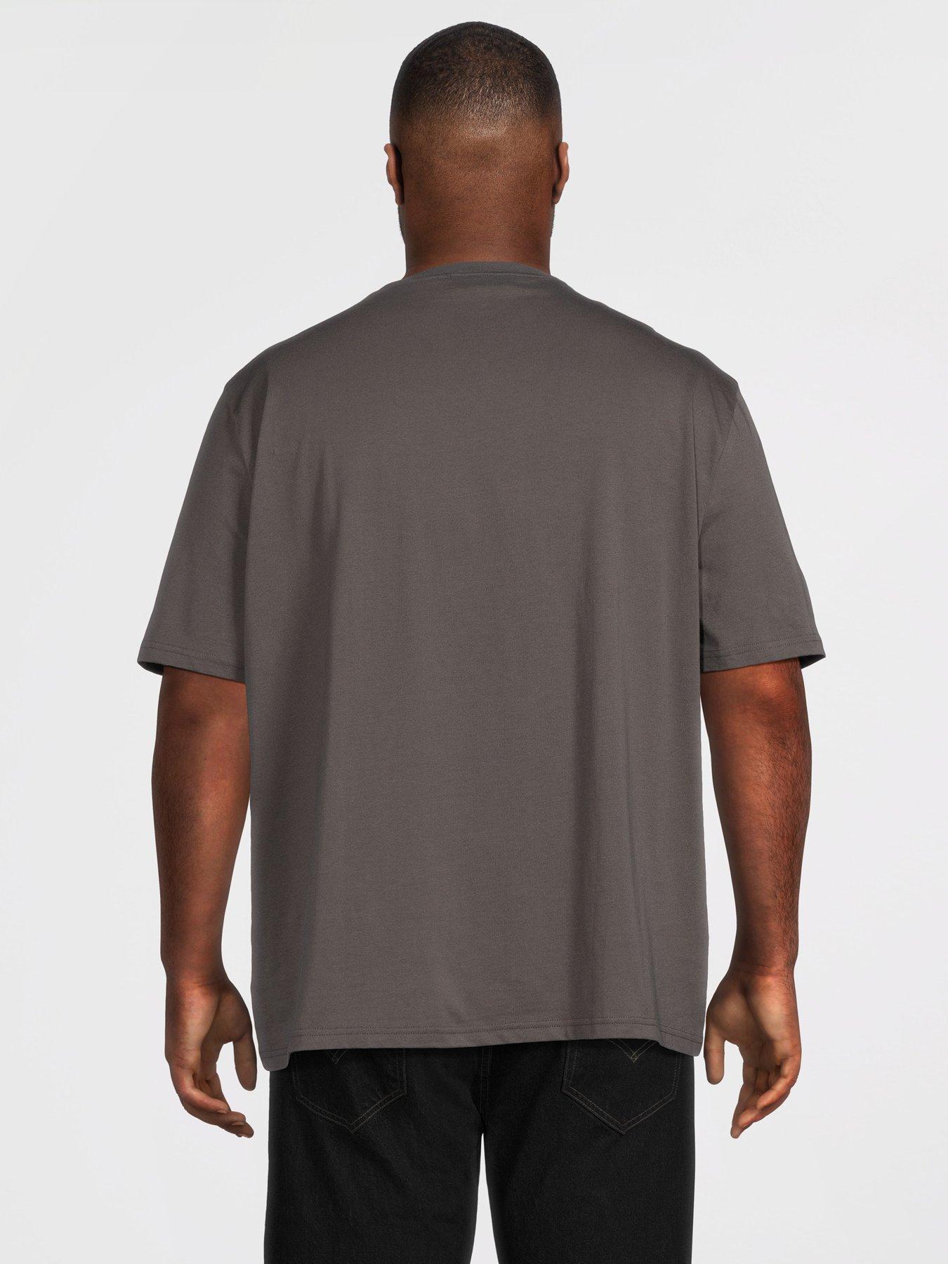 Image 2 of 5 of Lyle & Scott Big Tall Plain T-Shirt - Grey