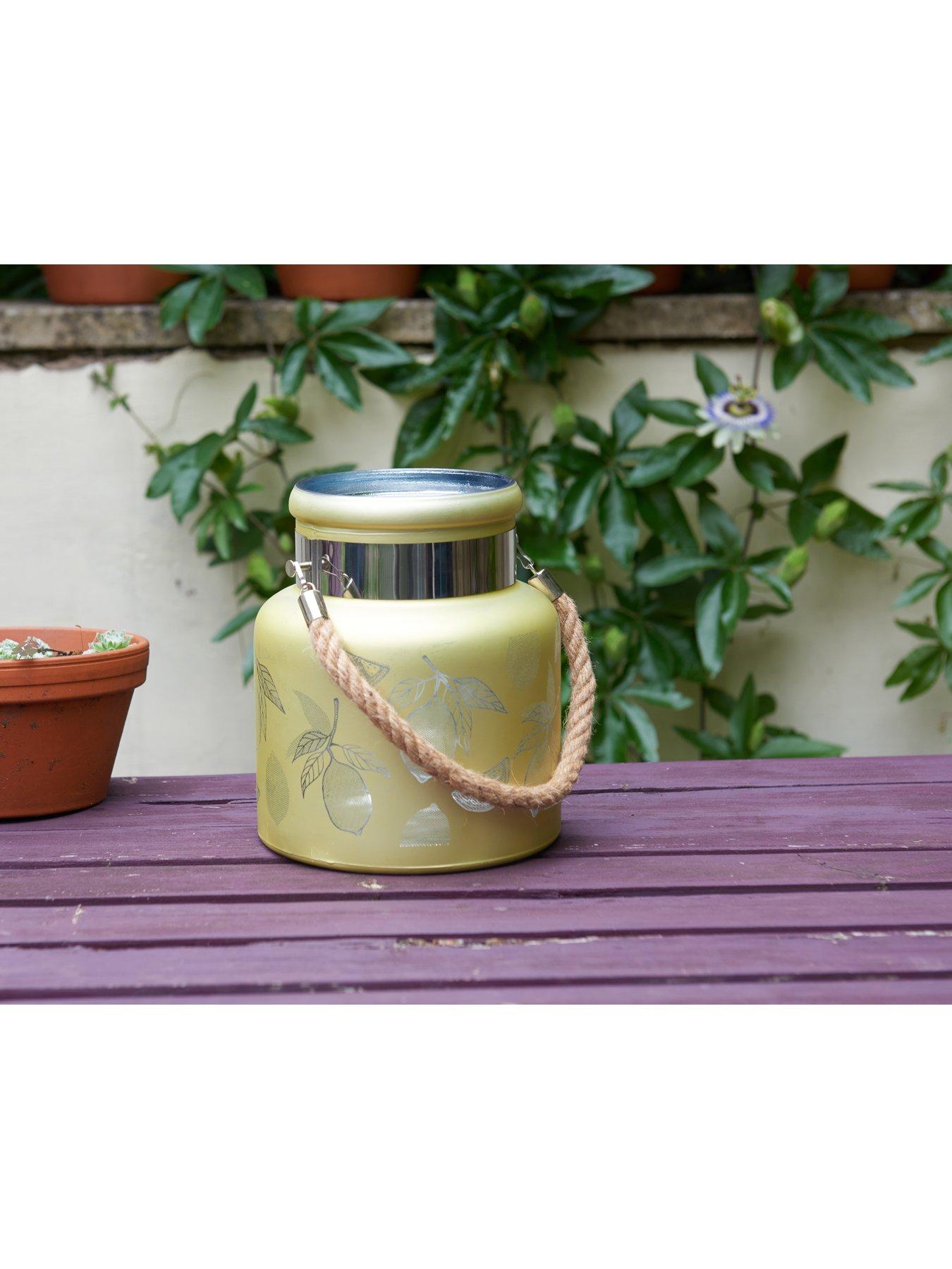  image of smart-garden-lemon-lantern