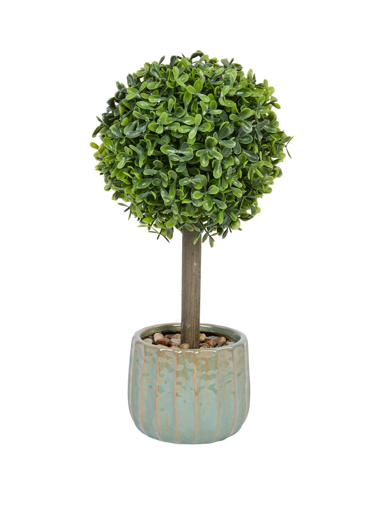  image of smart-garden-uno-topiary-tree-pair