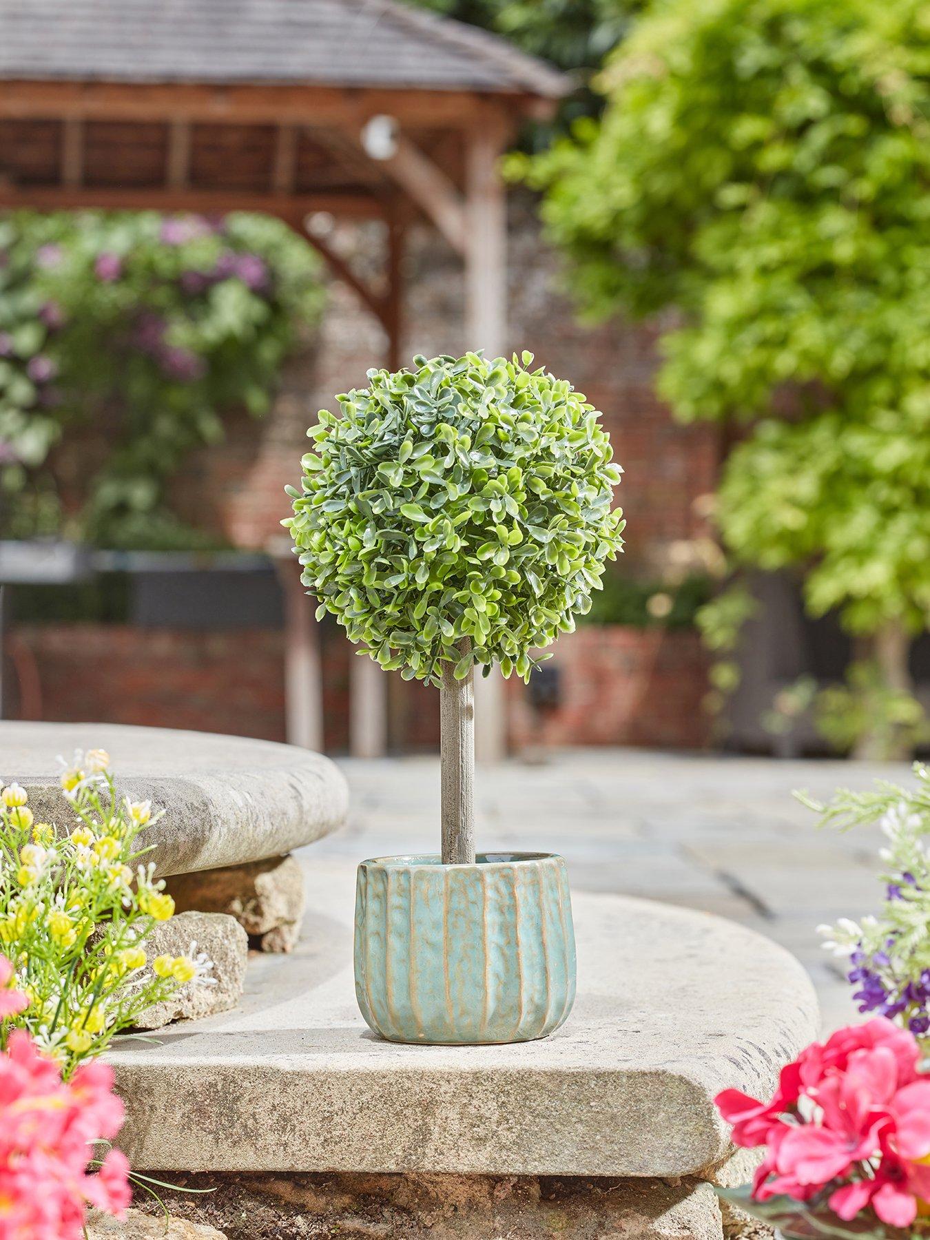  image of smart-garden-uno-topiary-tree-pair