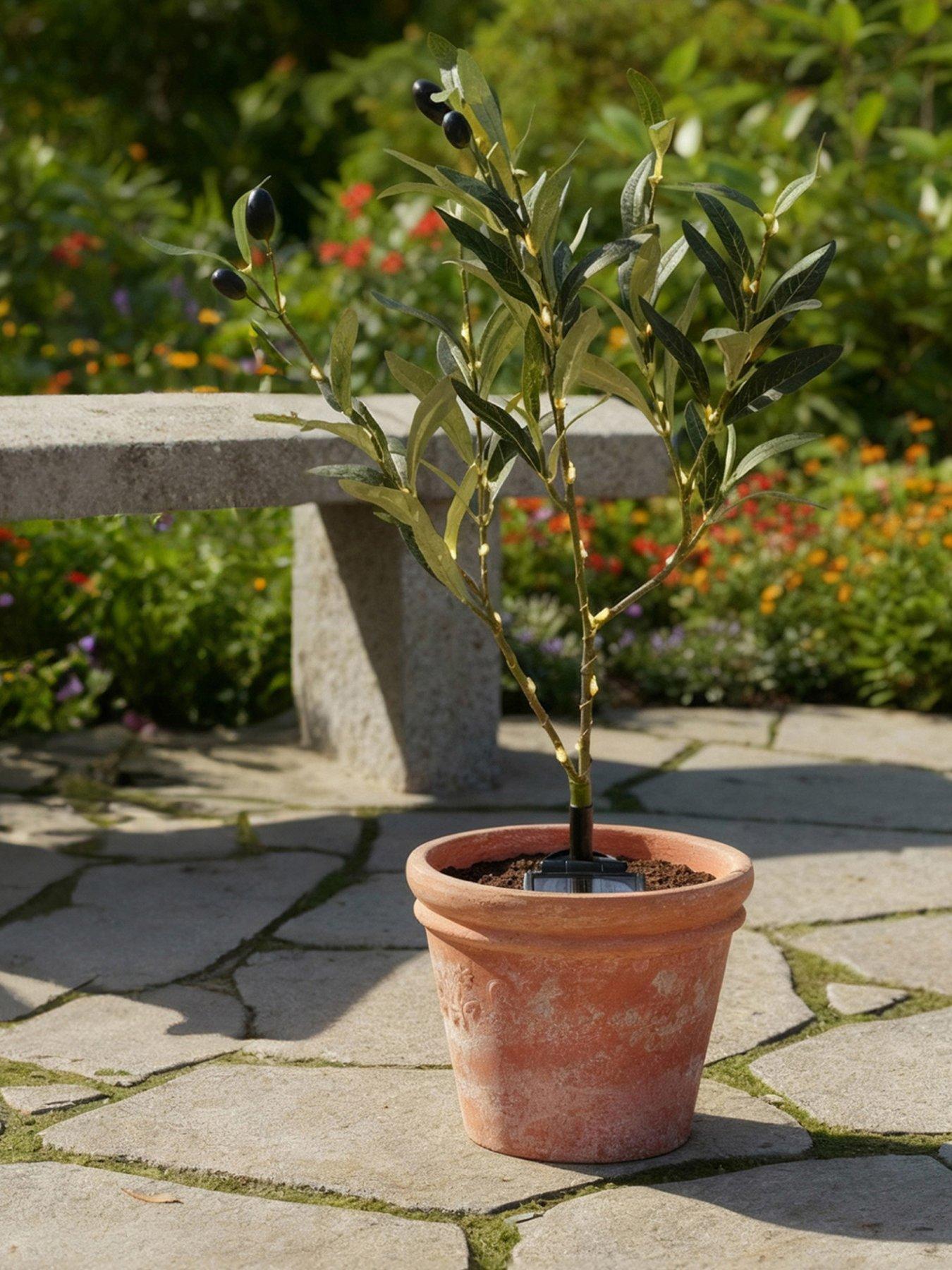 Streetwize Solar Olive Tree Lights