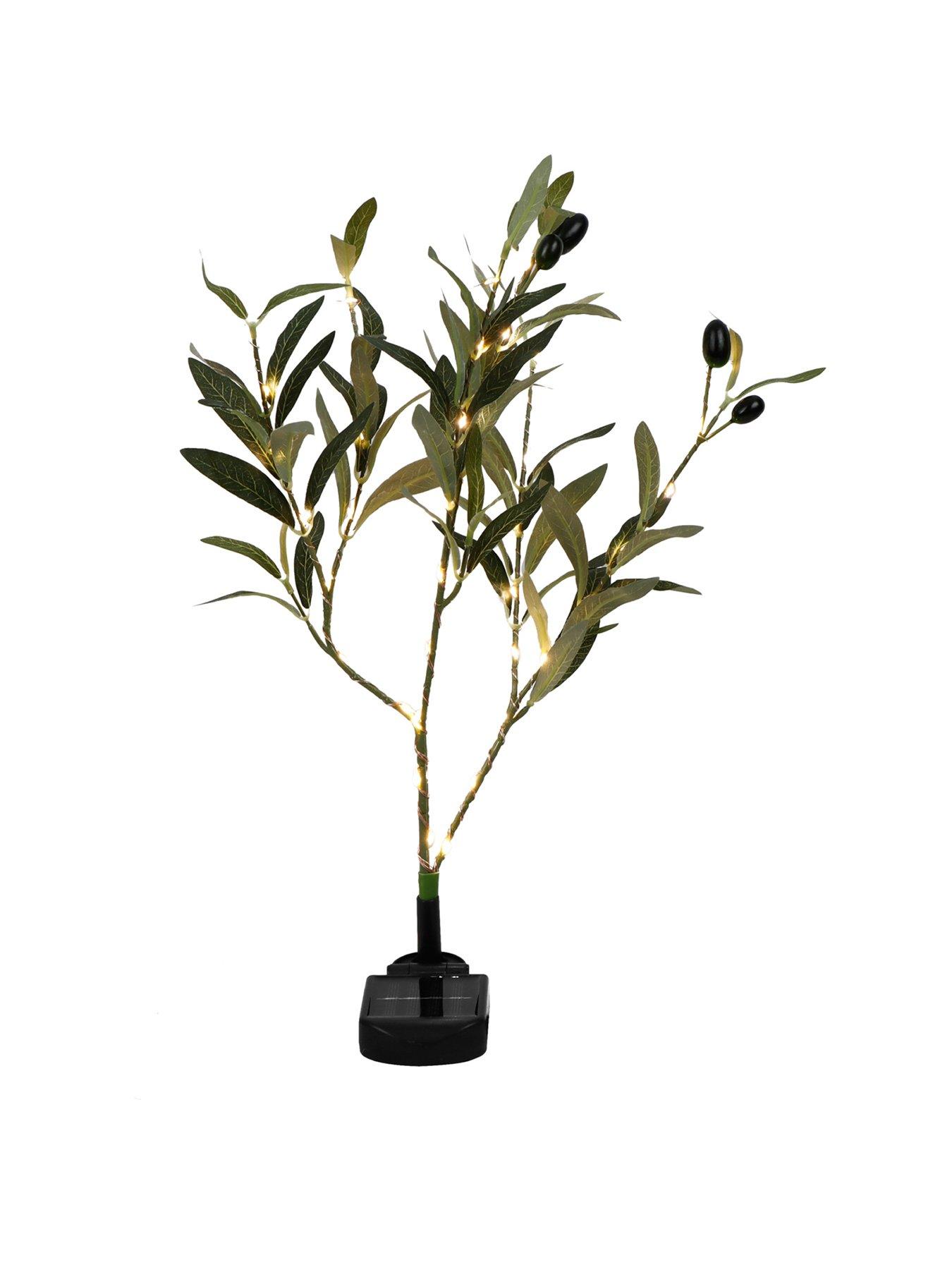  image of streetwize-solar-olive-tree-lights