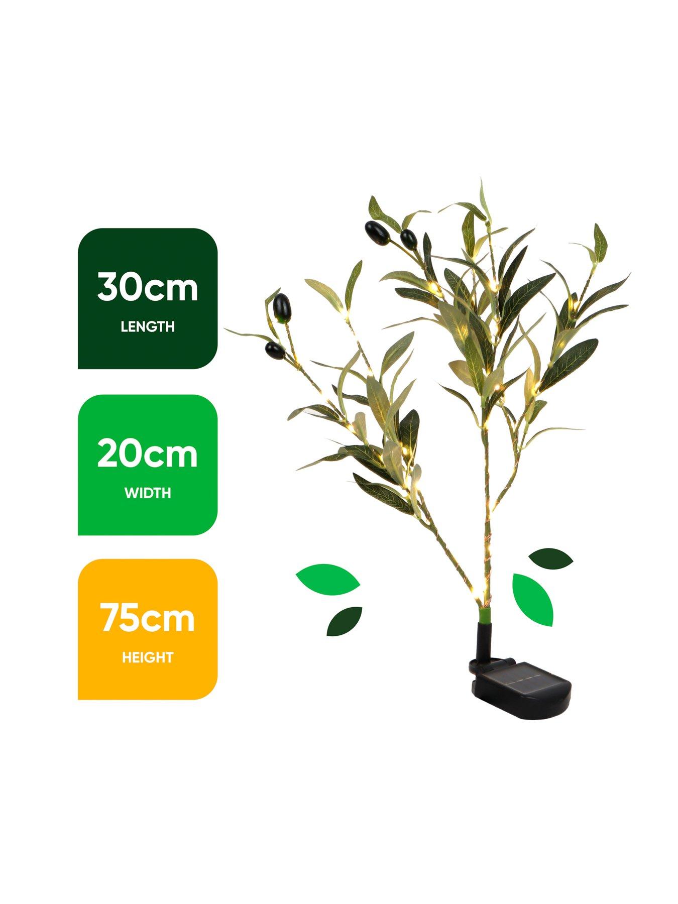  image of streetwize-solar-olive-tree-lights