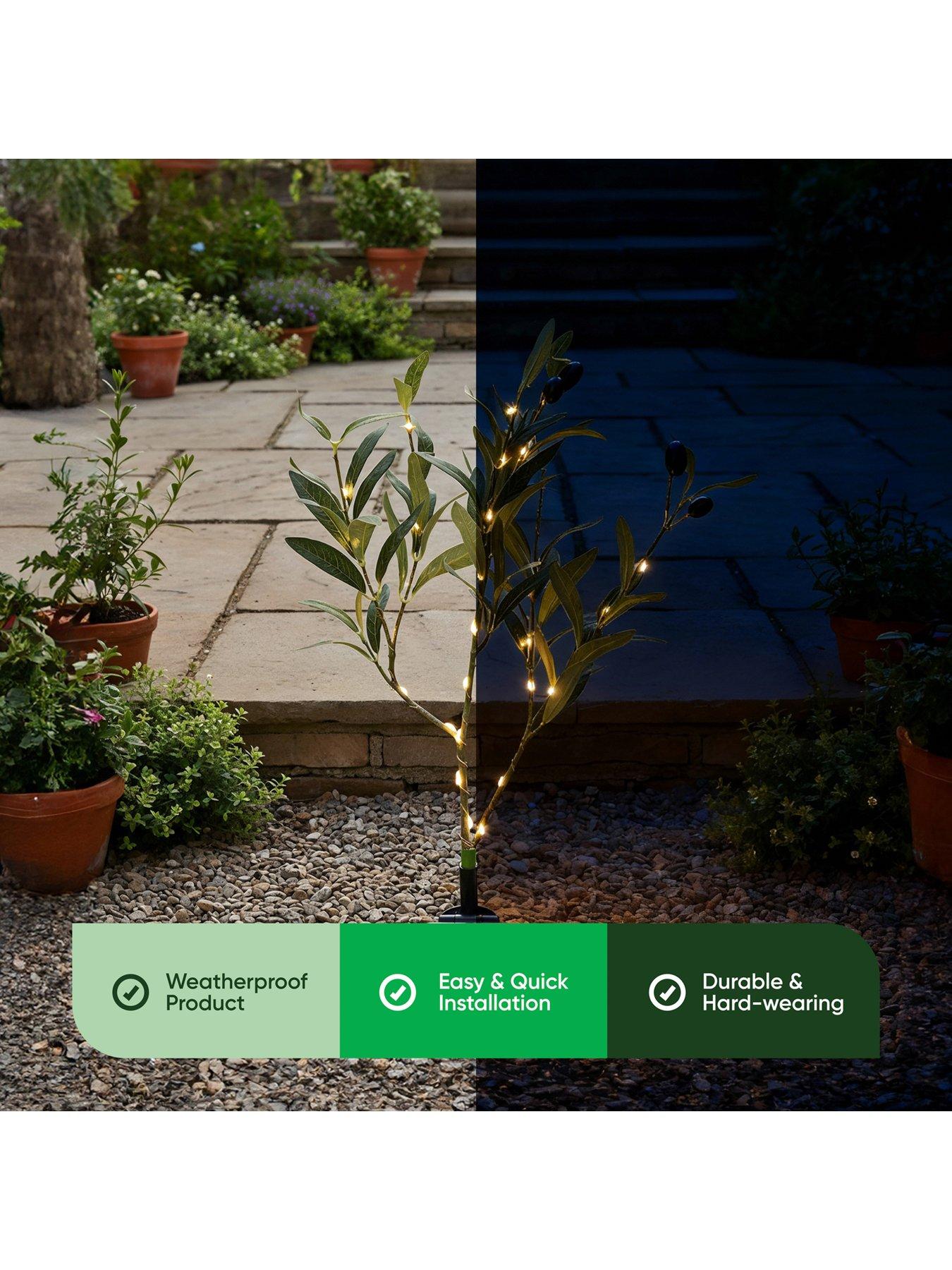  image of streetwize-solar-olive-tree-lights