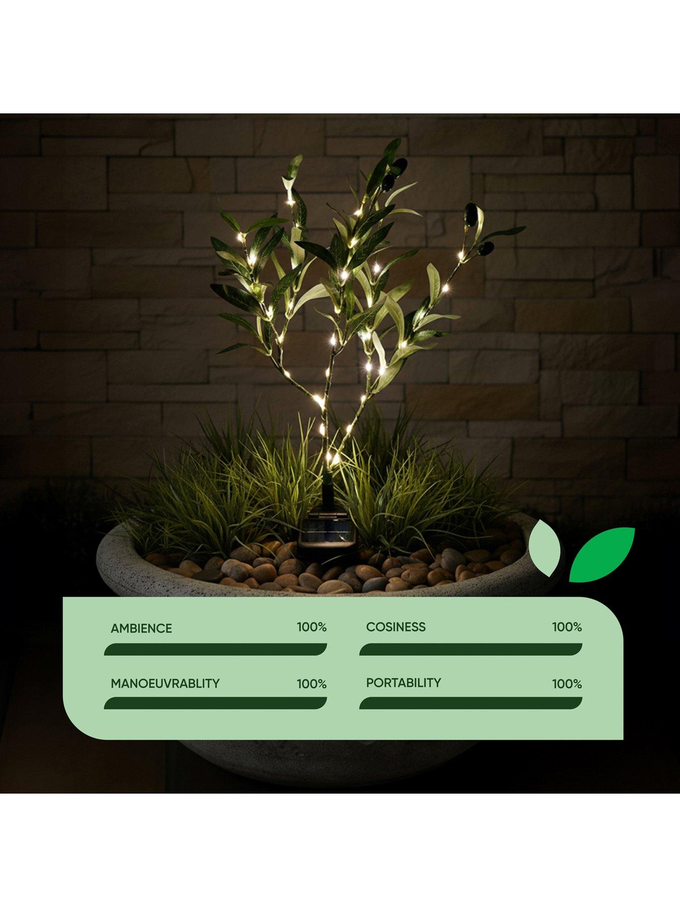  image of streetwize-solar-olive-tree-lights
