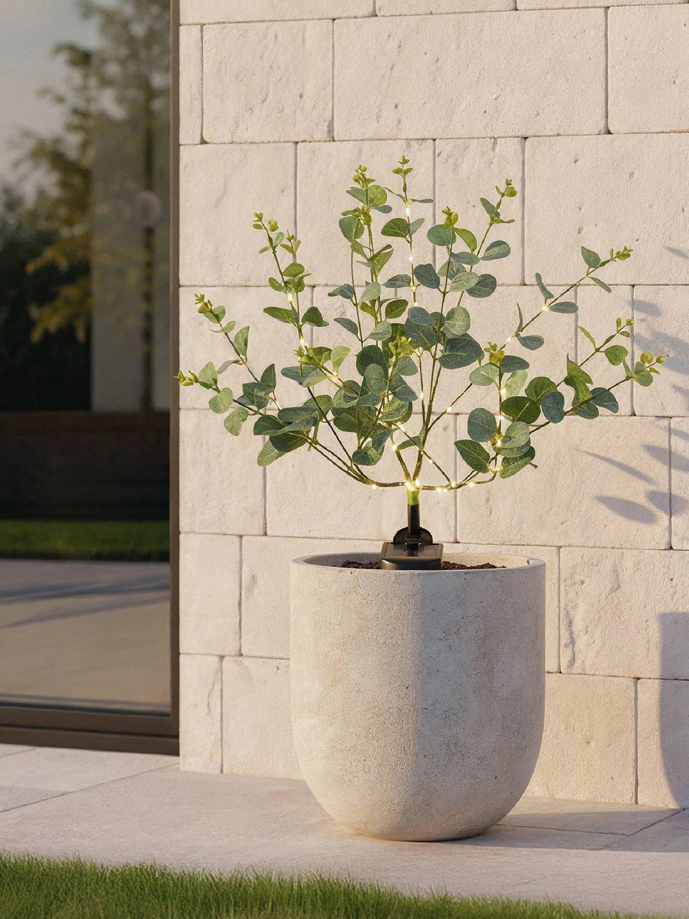 Image 1 of 7 of Streetwize Solar Eucalyptus Tree Lights