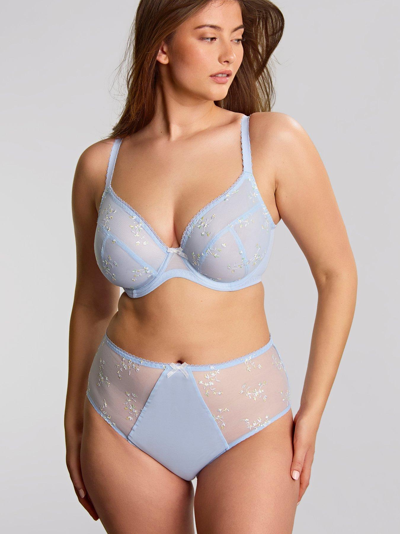 Image 3 of 5 of Panache Panache Meadow Dusky Blue Deep Brief - Dusky Blue