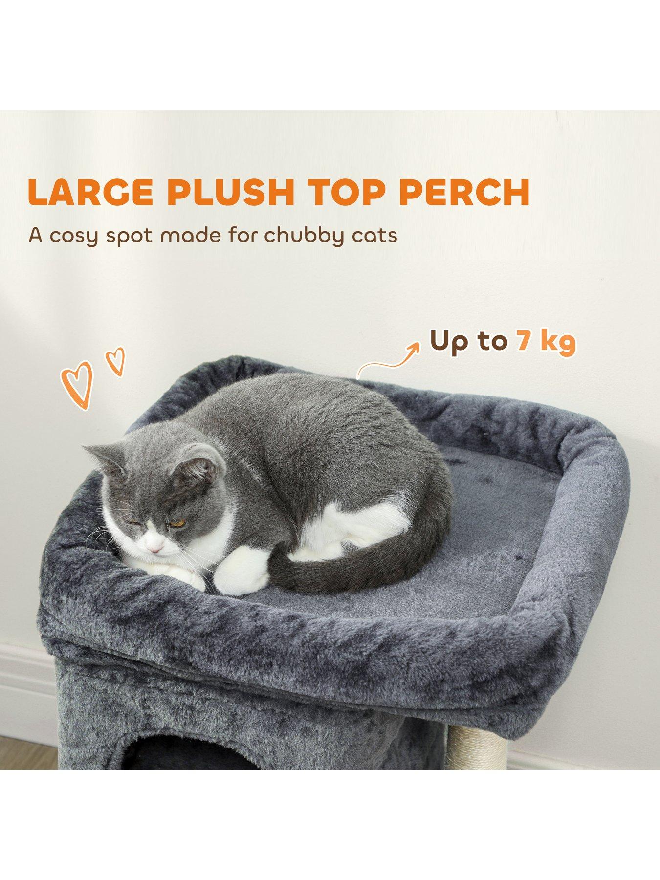 Image 4 of 6 of PawHut Small Cat Tree for Large Adult Cats Up to 7 KG with Large Perch 66 cm